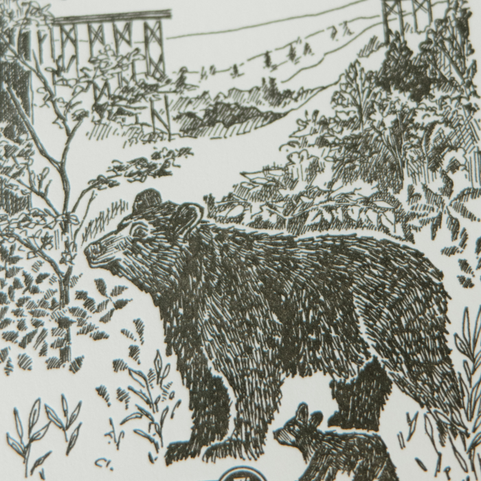 Skywalk &amp; Bears Story Starter: Shared Spaces