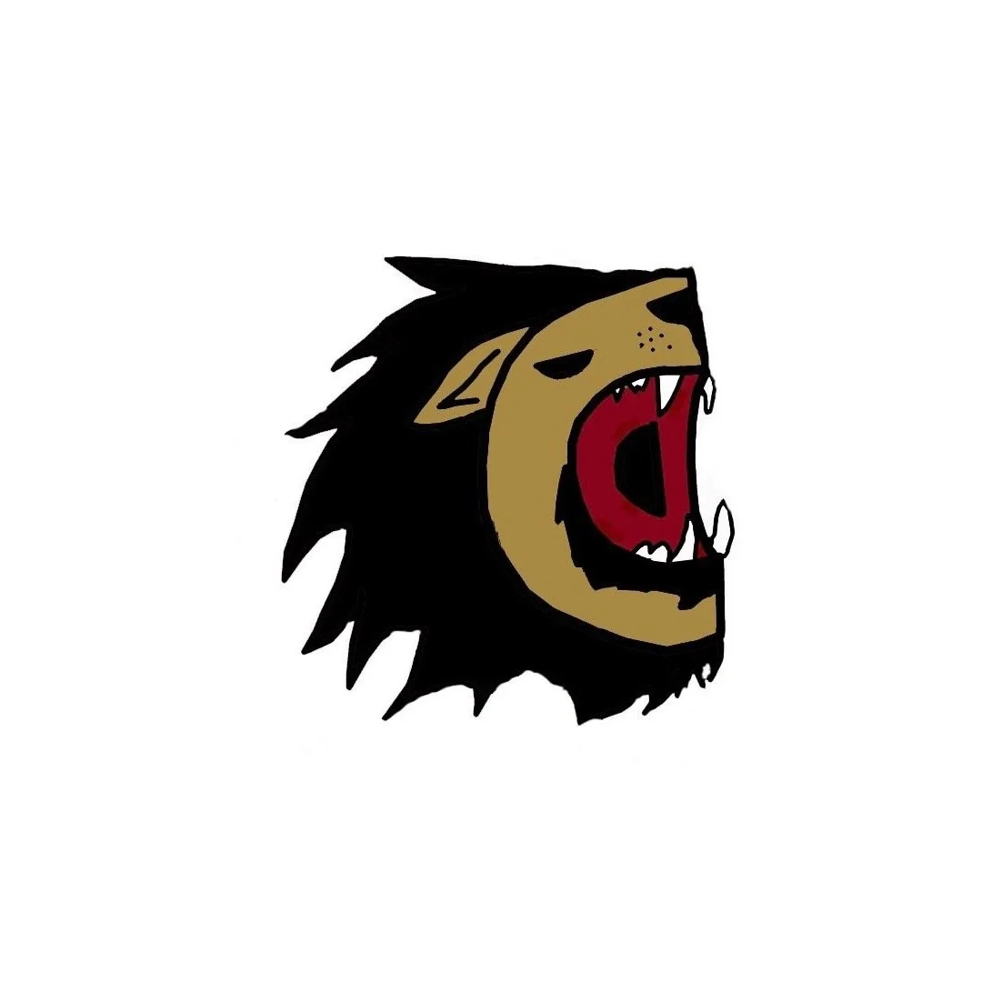 COALITION DEFENSE L.L.C.