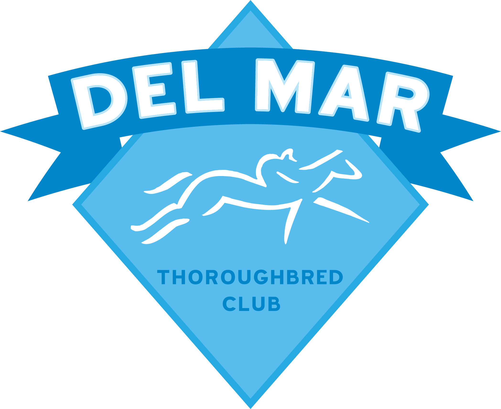 DMTC_Diamond Logo.png