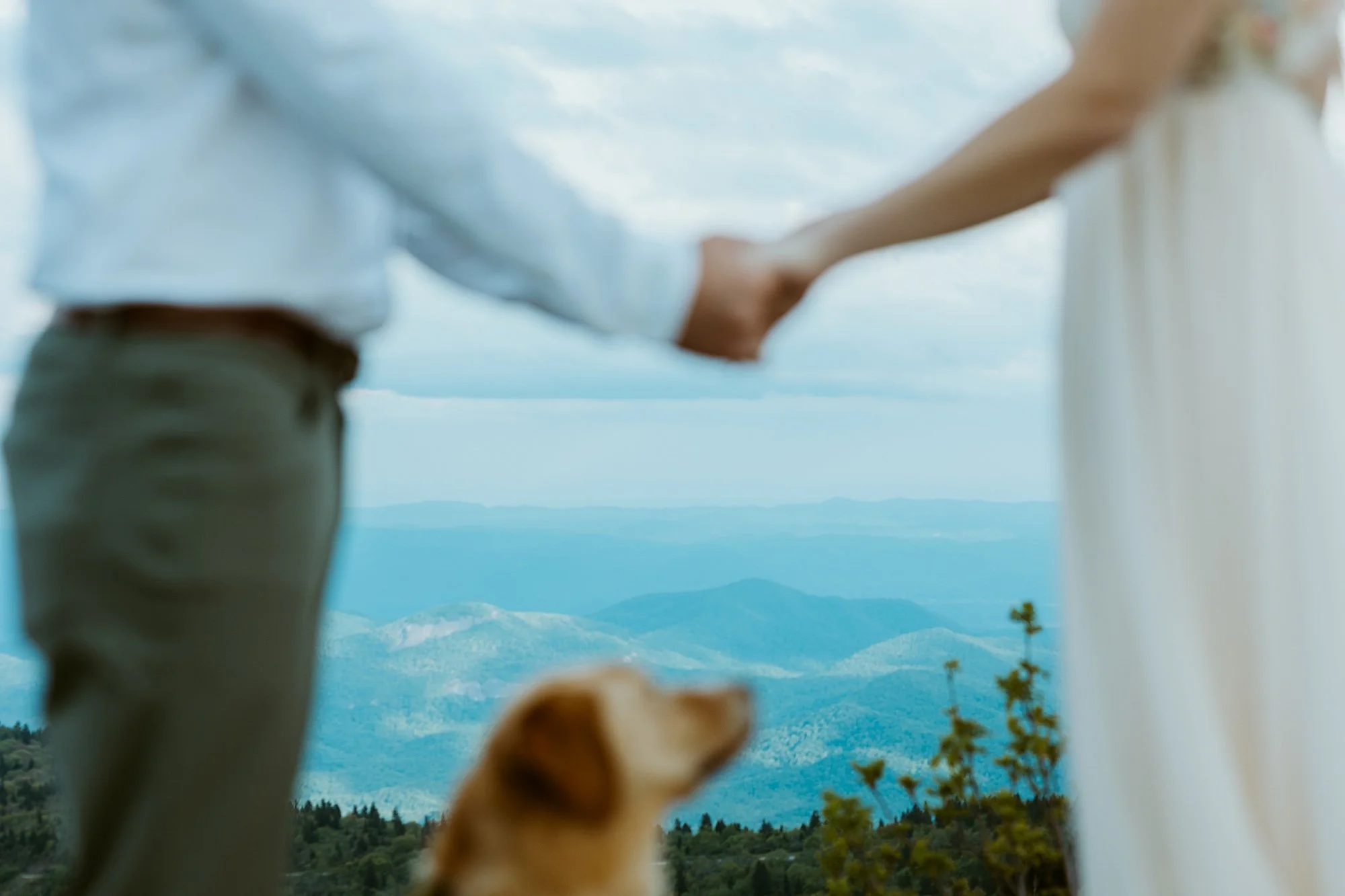 The blue ridge mountains are in focus as couple holds hands together above their dog during their elopement at Black Balsam Knob.