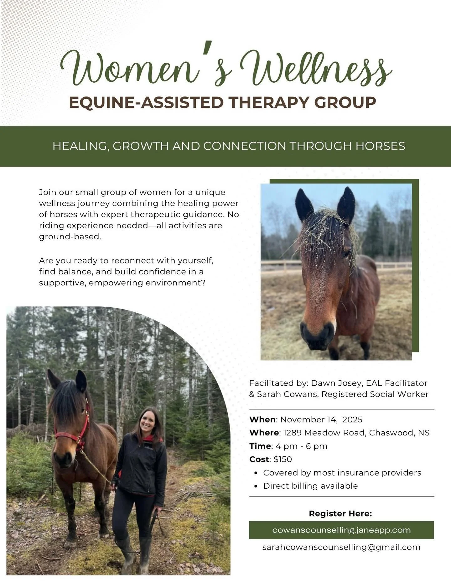 Feeling pulled in a hundred directions? Take time to reconnect with yourself, with others, and horses.
 
Join our Equine Assisted Therapy Group for Women, a unique experience combining the healing presence of horses, gentle guidance, and supportive c