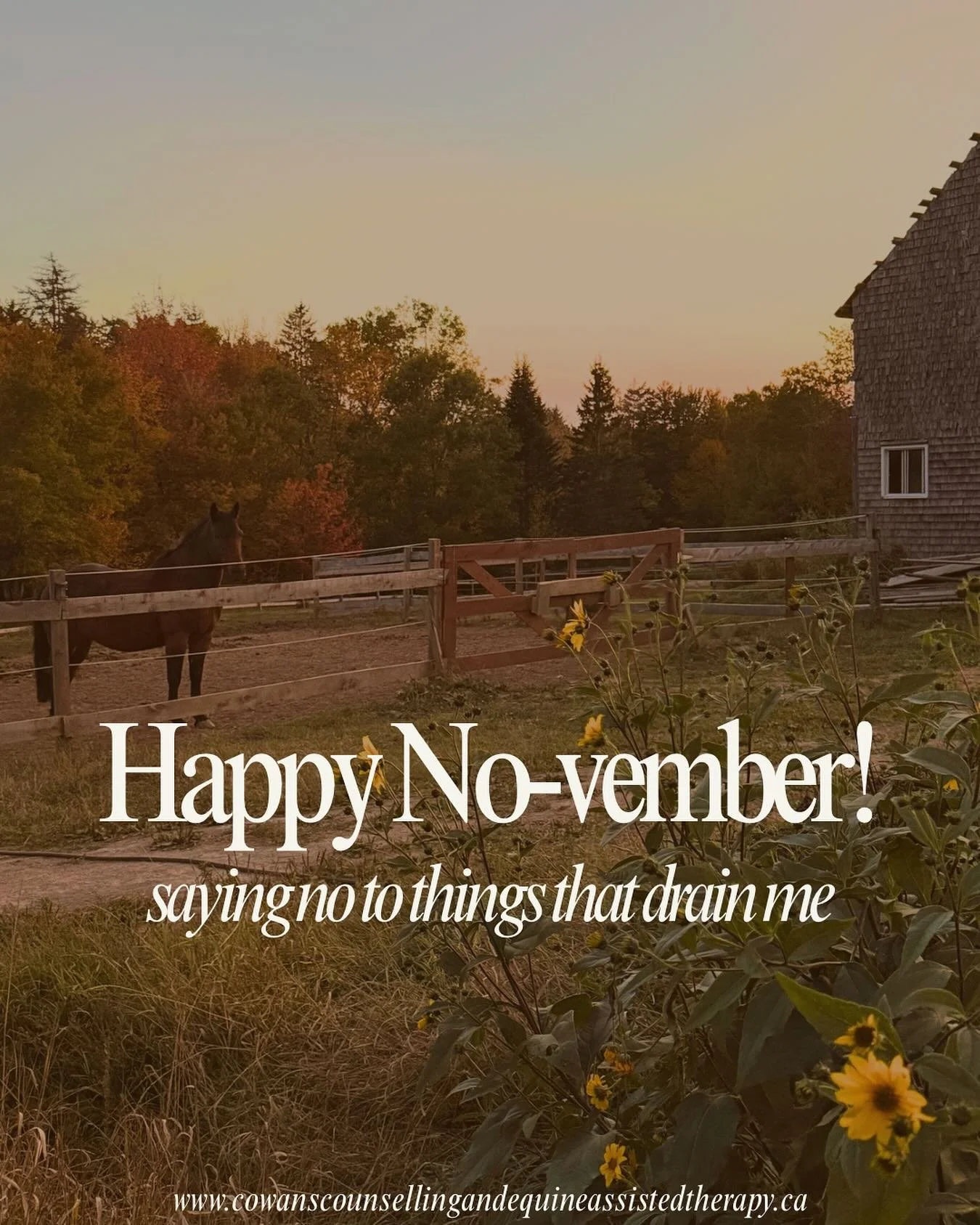 🍂No-vember is my reminder that &ldquo;no&rdquo; is not negative, it&rsquo;s a boundary.

Horses don&rsquo;t say yes to everything, but rather conserve their energy and hold boundaries naturally.

This No-vember, I&rsquo;m taking a lesson from them b