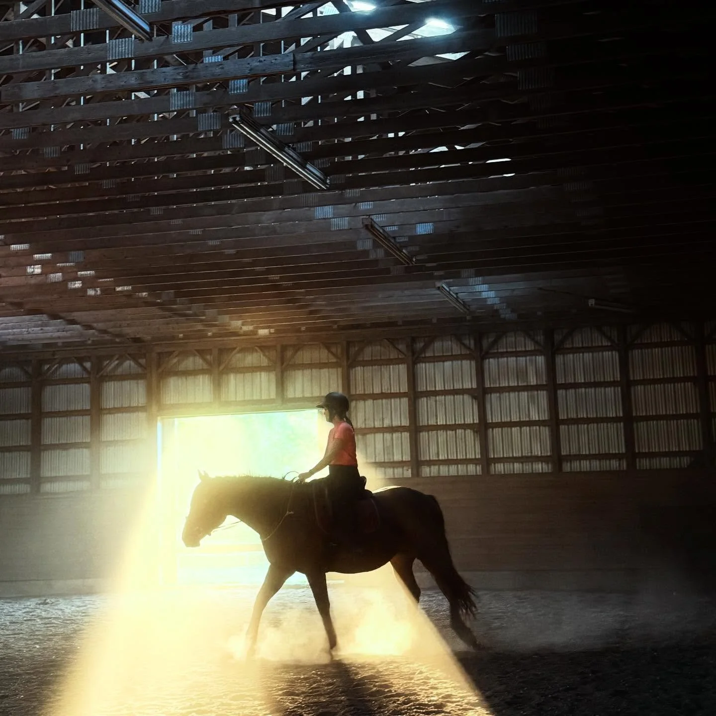 Words can&rsquo;t describe what this horse has taught me about patience, intention and confidence. I am so proud of her growth and look forward to the next 25+ years together 💜

#novascotia #horses #equine #equinetherapy #psychotherapy #equineassist