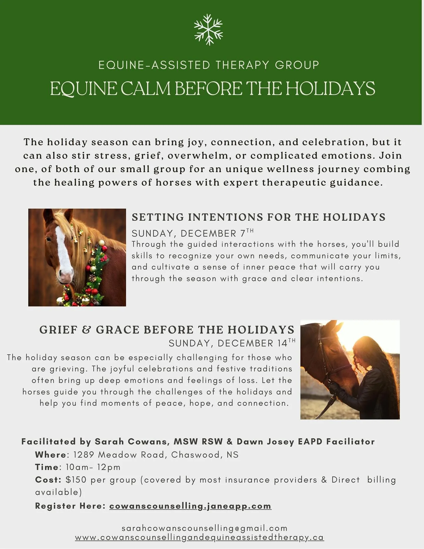 🎄Do you find the holidays stressful? What if you had a place to ground yourself before stepping into it?

❄️Excited to offer two upcoming equine assisted therapy and wellness groups to help prepare and embrace the holiday season with clear intention