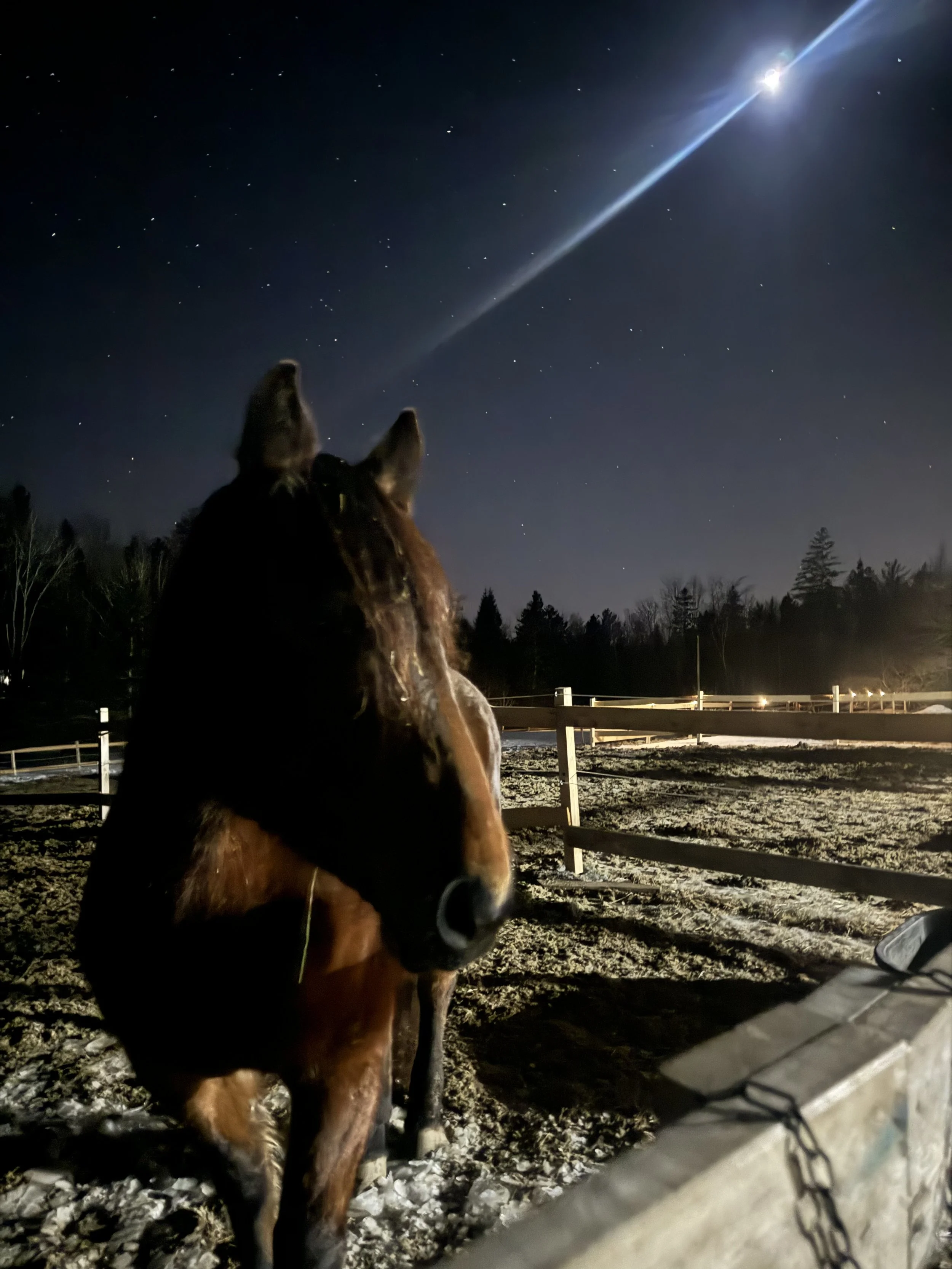 Choosing Intention in the New Year