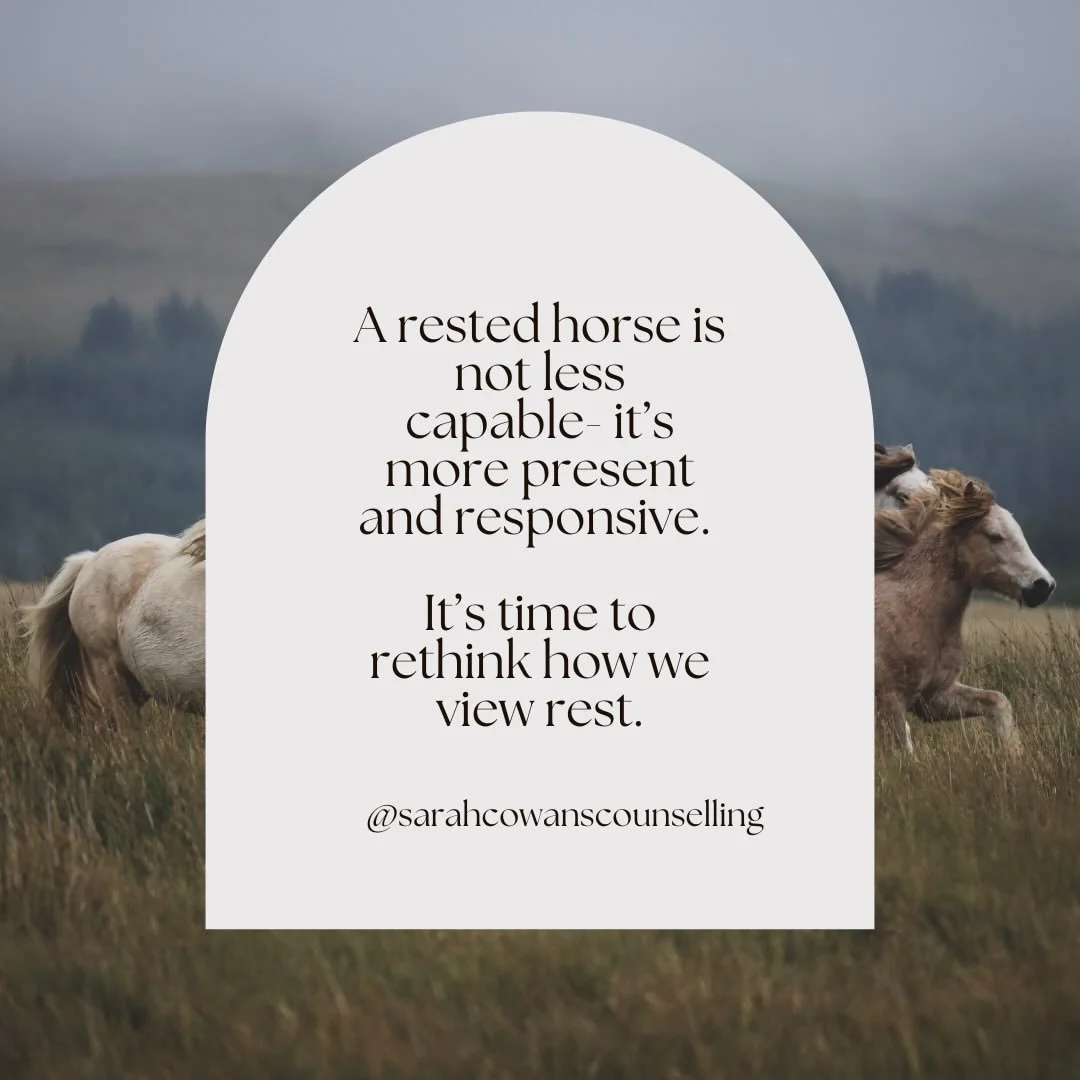 Horses are great teachers about the value of rest! They teach us to shift way from unhelpful beliefs around the need for constant output and waiting to be &ldquo;done&rdquo; to deserve rest🐴✨

Read on to learn how horses show us to instinctively res
