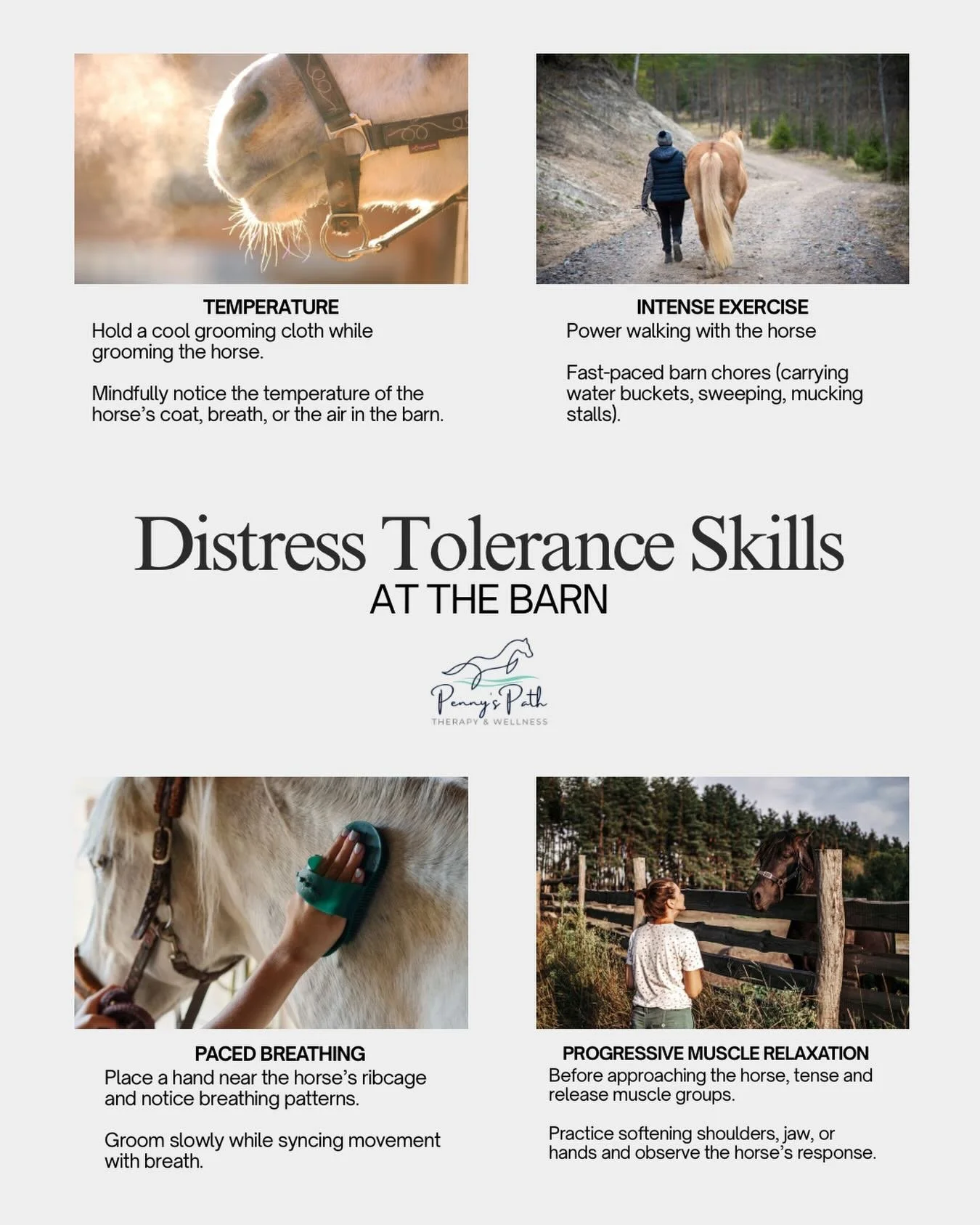 Ever notice how the barn naturally helps you reset? 

One of the skills we love bringing into our work with horses is DBT&rsquo;s distress tolerance skill TIPP. These simple, body-based tools can help regulate big emotions in the moment. 

The beauti