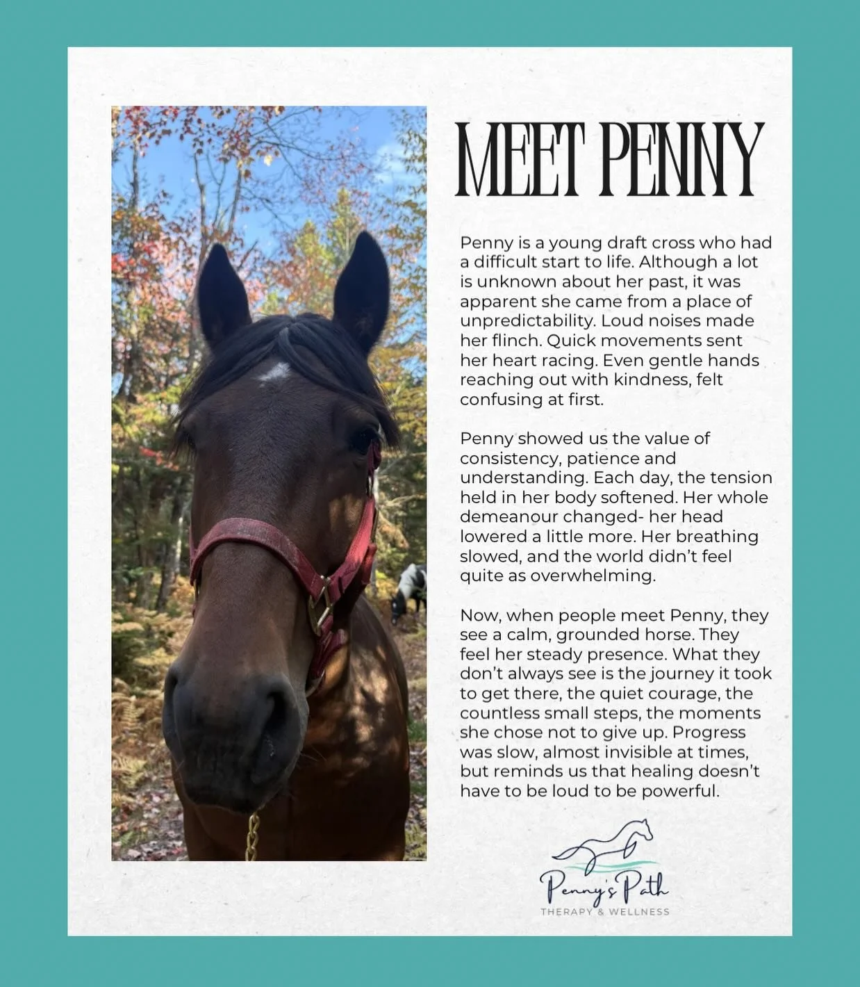 Meet Penny!

The inspiration and heart behind this work 💜

#equineassistedtherapy #equineassistedservices #novascotia #equineassistedwellness #horses