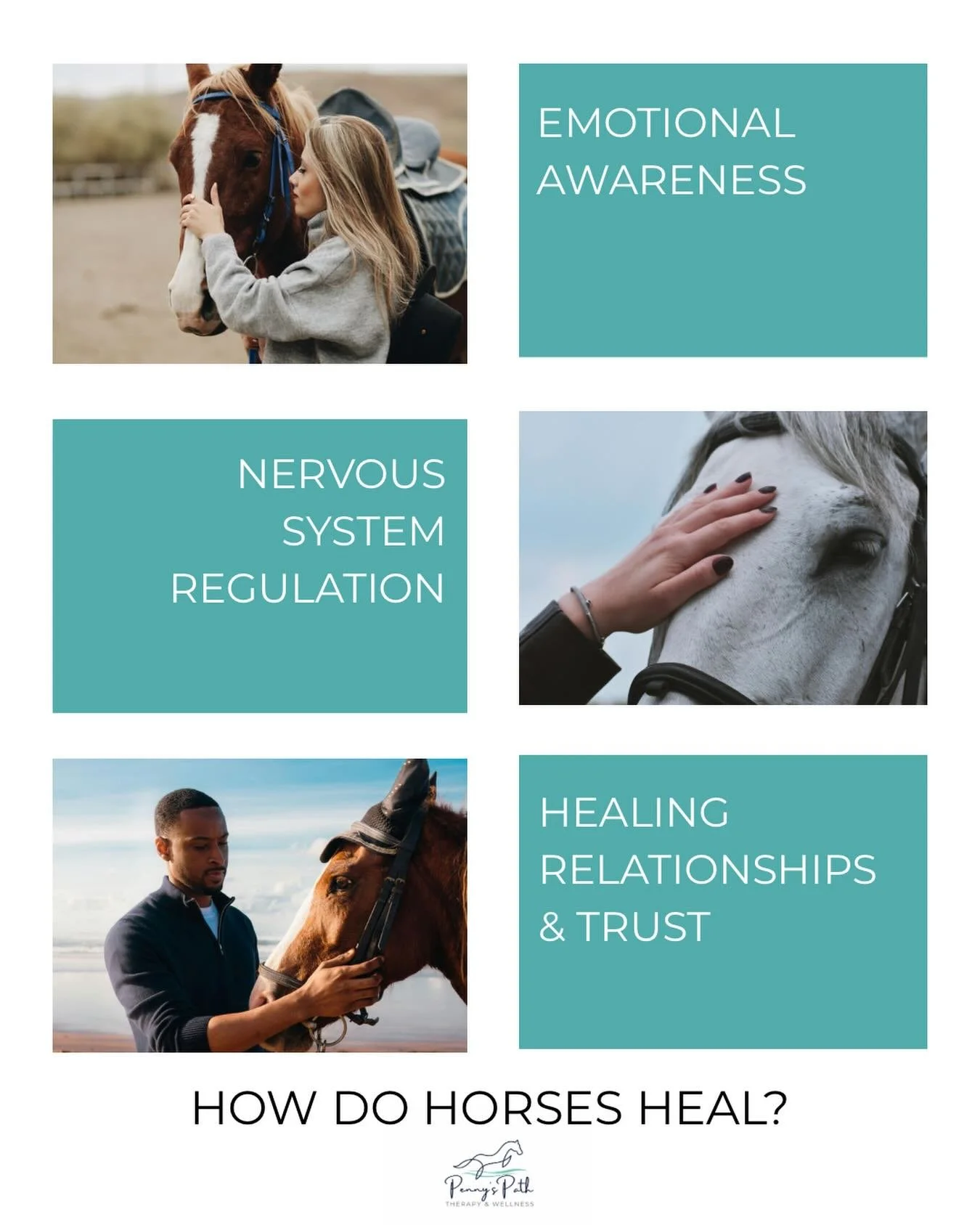 Horses can support healing in so many ways- emotional, psychological, physical and even relational. Often healing with horses is about creating experiences that help promote safety, awareness, connection and growth.

✨Reach out to learn more about wo