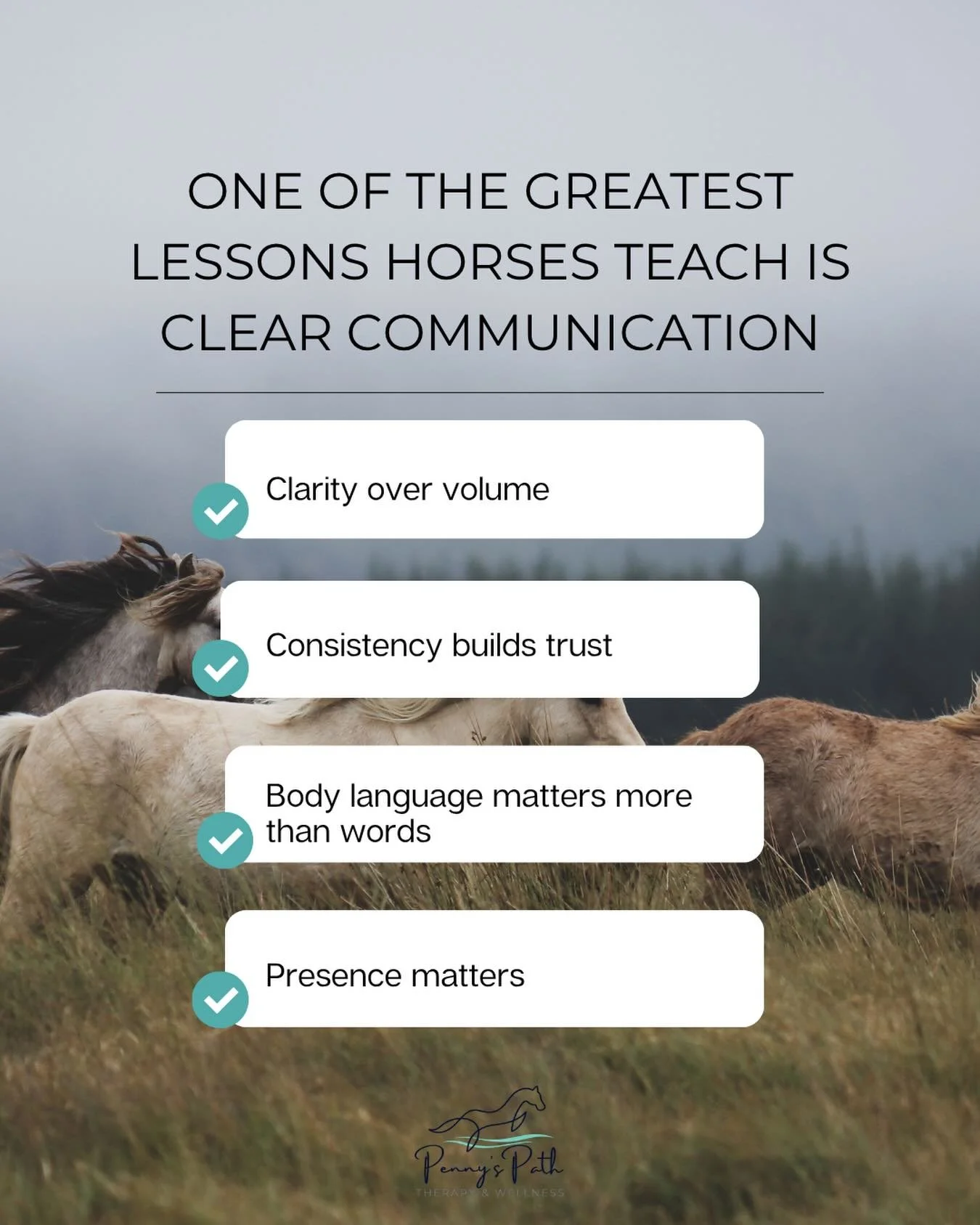 Horses teach clear communication by responding to what we actually do, not what we intend or say verbally. They respond to energy, body language, timing, and intention. Mixed signals create confusion. Clear boundaries create trust.

Around horses, yo