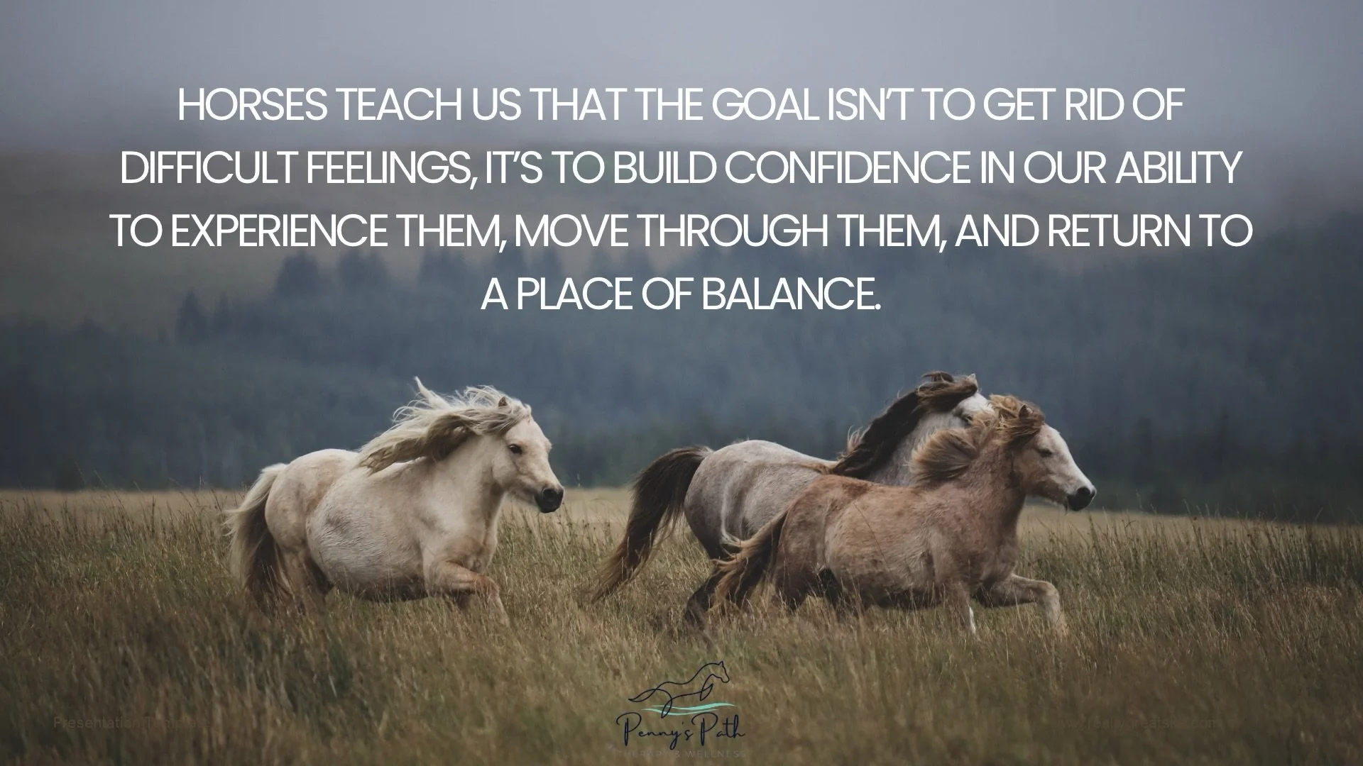 ✨Just as a horse&rsquo;s movement changes from moment to moment, our emotions are constantly changing too. We don&rsquo;t have to chase them away or hold onto them, we can learn to ride the waves as they come and go.

#equineassistedtherapy #equineas