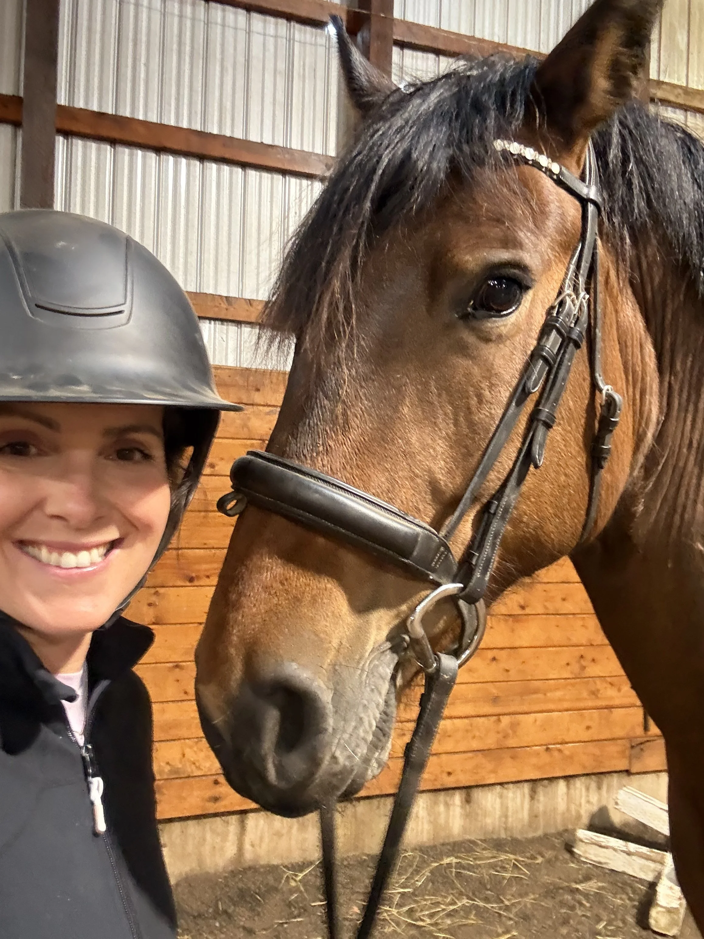 Learning to Recognize Tension: A Lesson from Horses and the Nervous System
