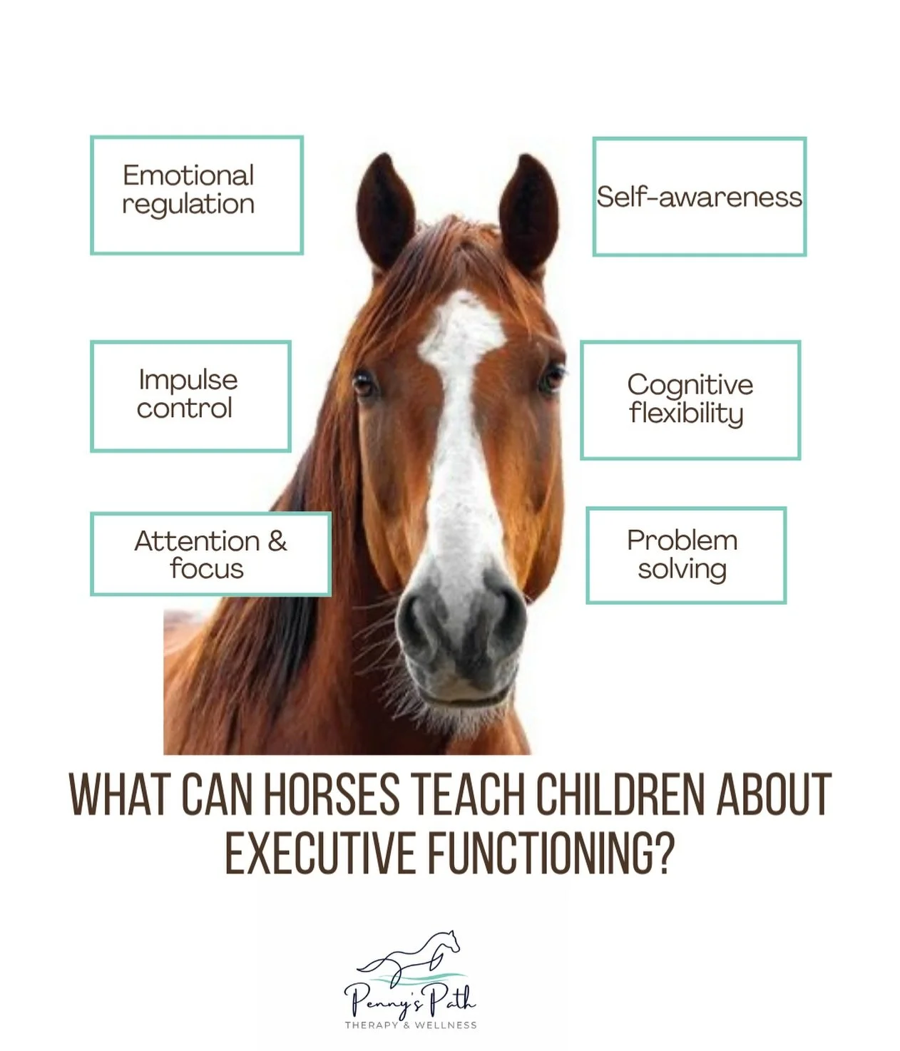 What can horses teach children about executive functioning? 🐴

Executive functioning helps children pause, plan, focus, manage emotions, solve problems, and adapt when things don&rsquo;t go as expected.

The horse provides immediate, non-judgmental 