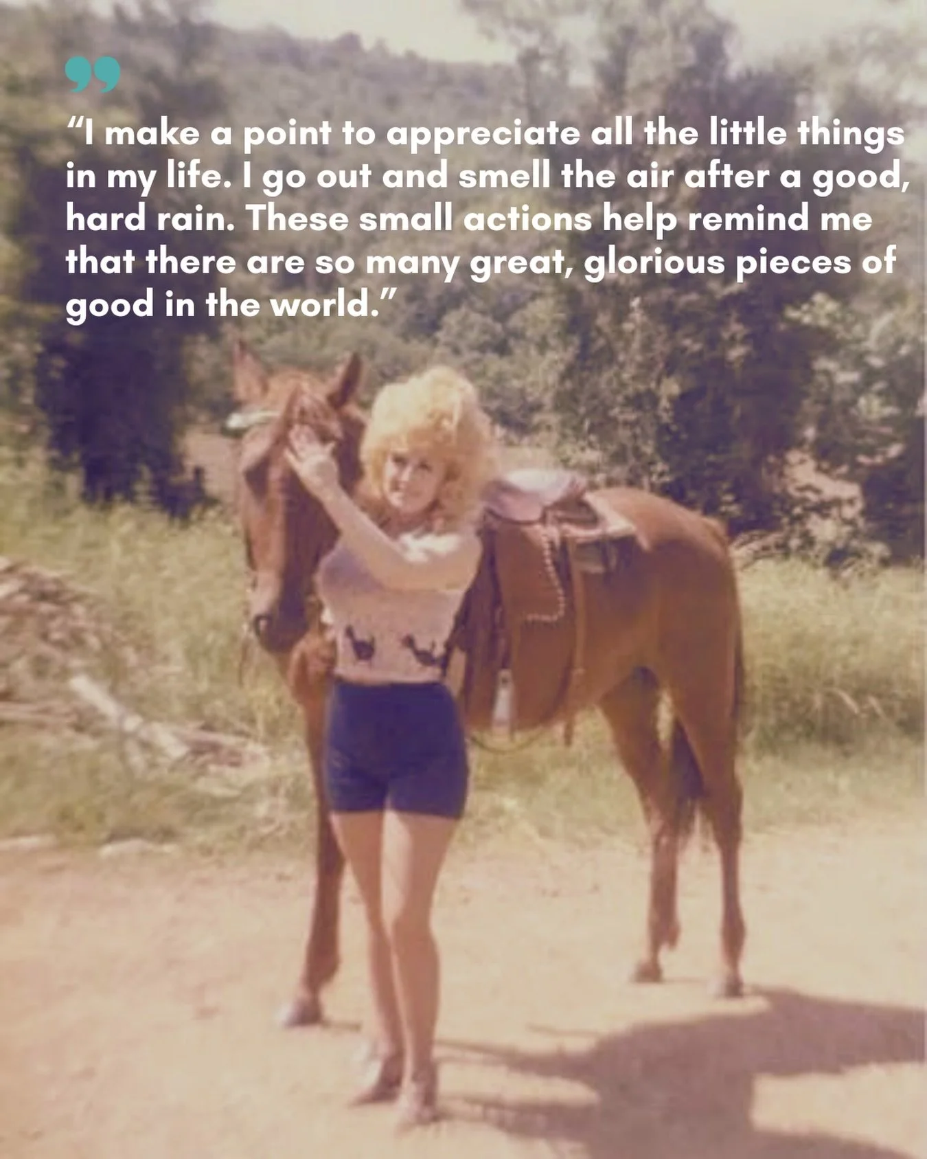 Remembering Dolly, who was the queen of gratitude and appreciation for the small things. She showed us authenticity and the value of embracing our failures. 

A beautiful legend, who&rsquo;ll be greatly missed 💜

#EquineAssistedTherapy #NovaScotia #