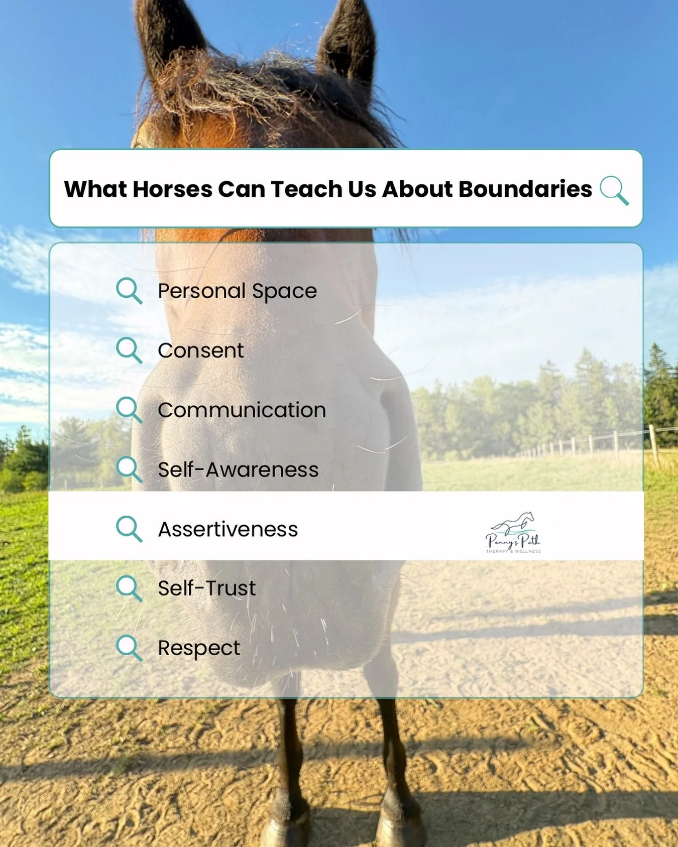Horses don&rsquo;t use words to communicate their boundaries. They use their bodies: stepping away, turning their head or becoming tense.

Horses can teach us how to set boundaries but also the benefits, especially when it comes to our physical and e