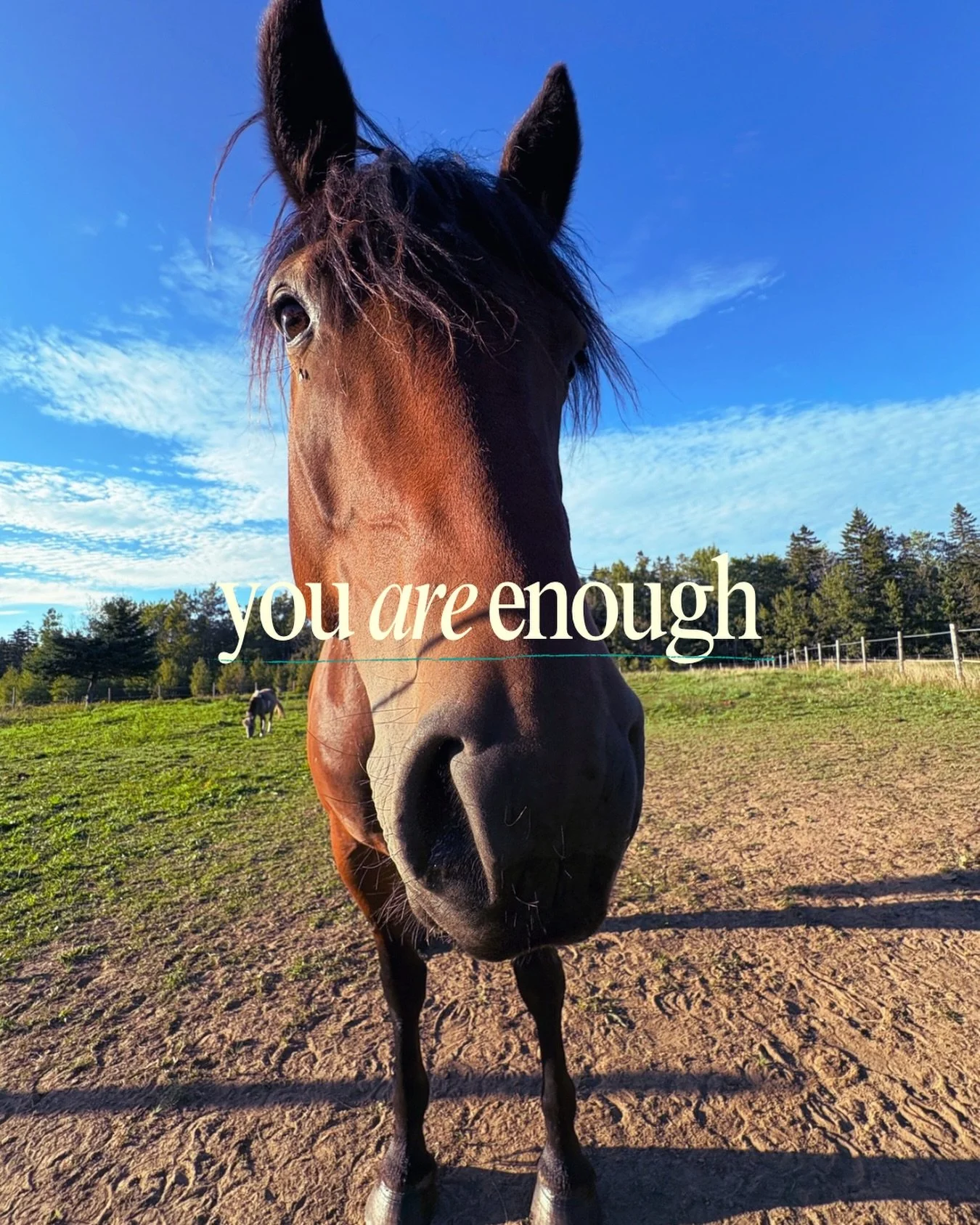September is Suicide Prevention Month!

Sometimes, we don&rsquo;t need someone to fix things. We need someone to stay. Horses have a beautiful way of bringing us into the present moment&hellip;

✨No judgment
✨No expectations
✨Just connection

And som