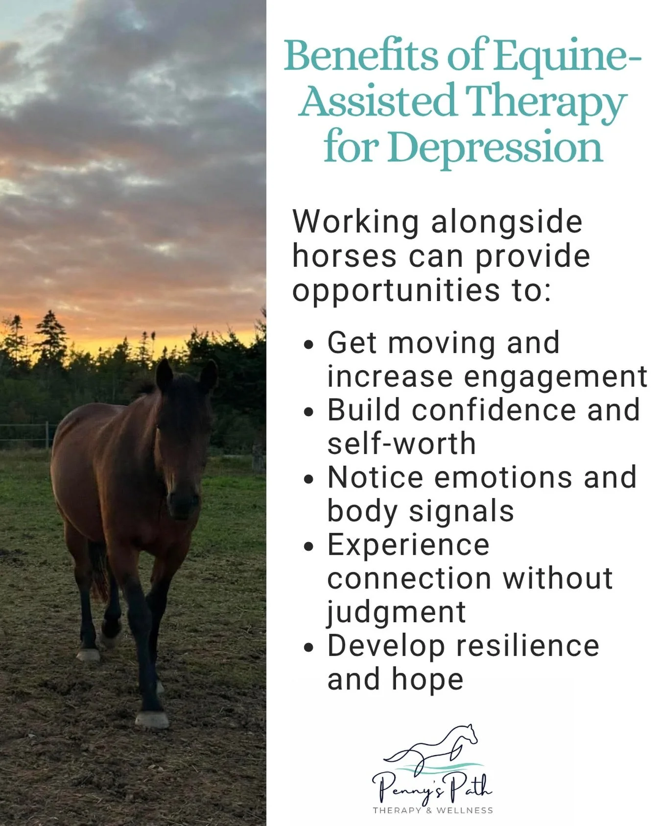 Depression can make life feel heavy. Equine-assisted therapy offers a different way to reconnect, with yourself, with others, and with the world around you. 

Working with horses provides a unique, experiential way to support people experiencing depr