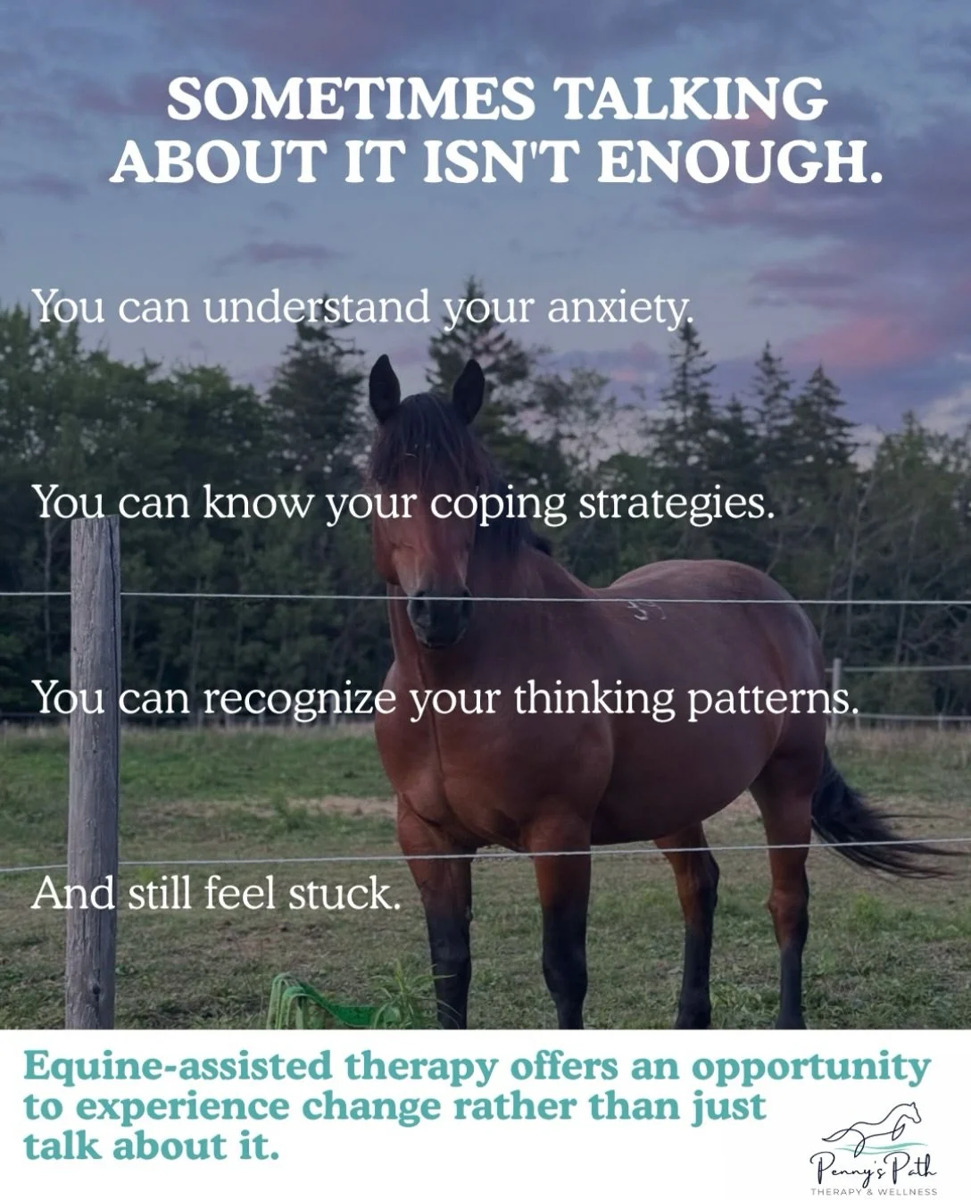 Equine-assisted therapy offers an opportunity to experience change rather than just talk about it!

With a horse beside you, you can practice:
🌿Staying present
🌿Building confidence
🌿Regulating emotions
🌿Setting boundaries
🌿Communicating clearly
