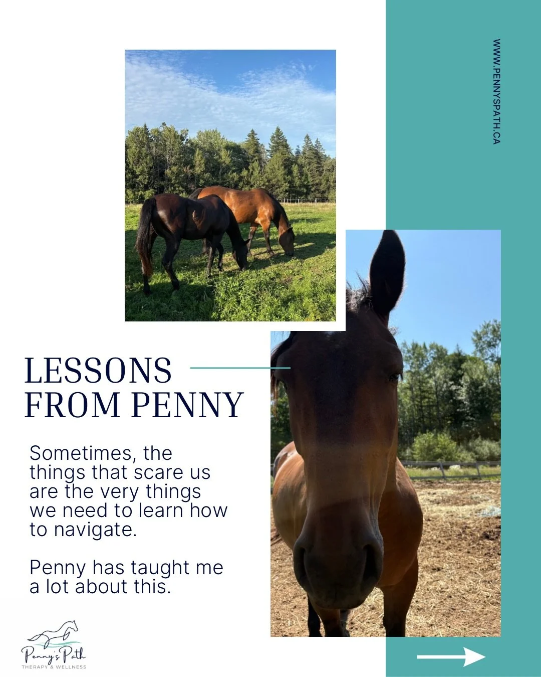 A lesson from Penny: Tolerance vs. Avoidance

When something feels scary, our instinct is often to avoid it. Avoidance can bring temporary relief, but it can also reinforce the belief that we can&rsquo;t handle discomfort.

Tolerance isn&rsquo;t abou