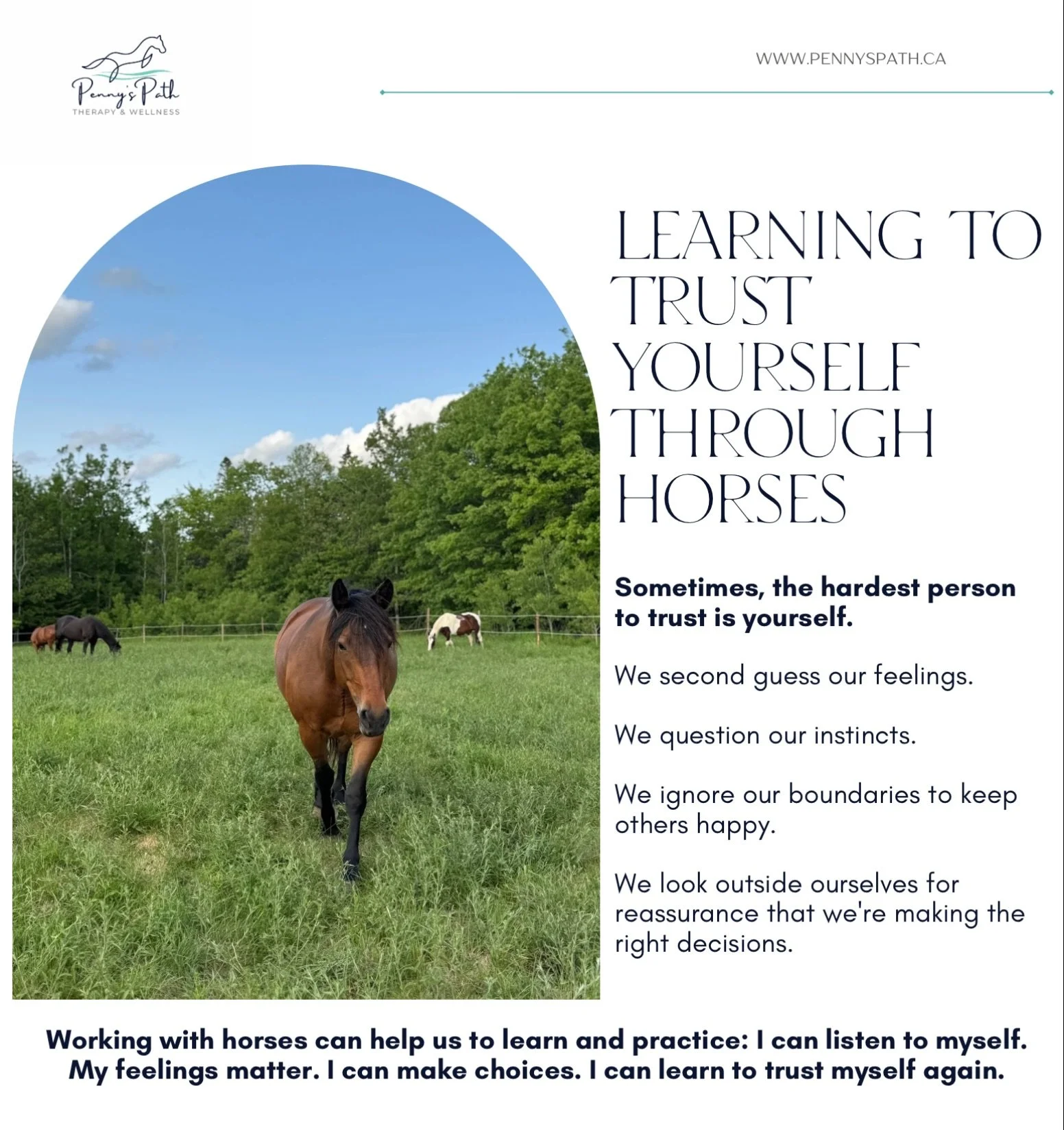 How do horses help us build inner self-trust?

Working with horses offers an opportunity to begin reconnecting with your inner voice.

Horses invite us to slow down, notice what&rsquo;s happening within us, and pay attention to what we need.

They gi