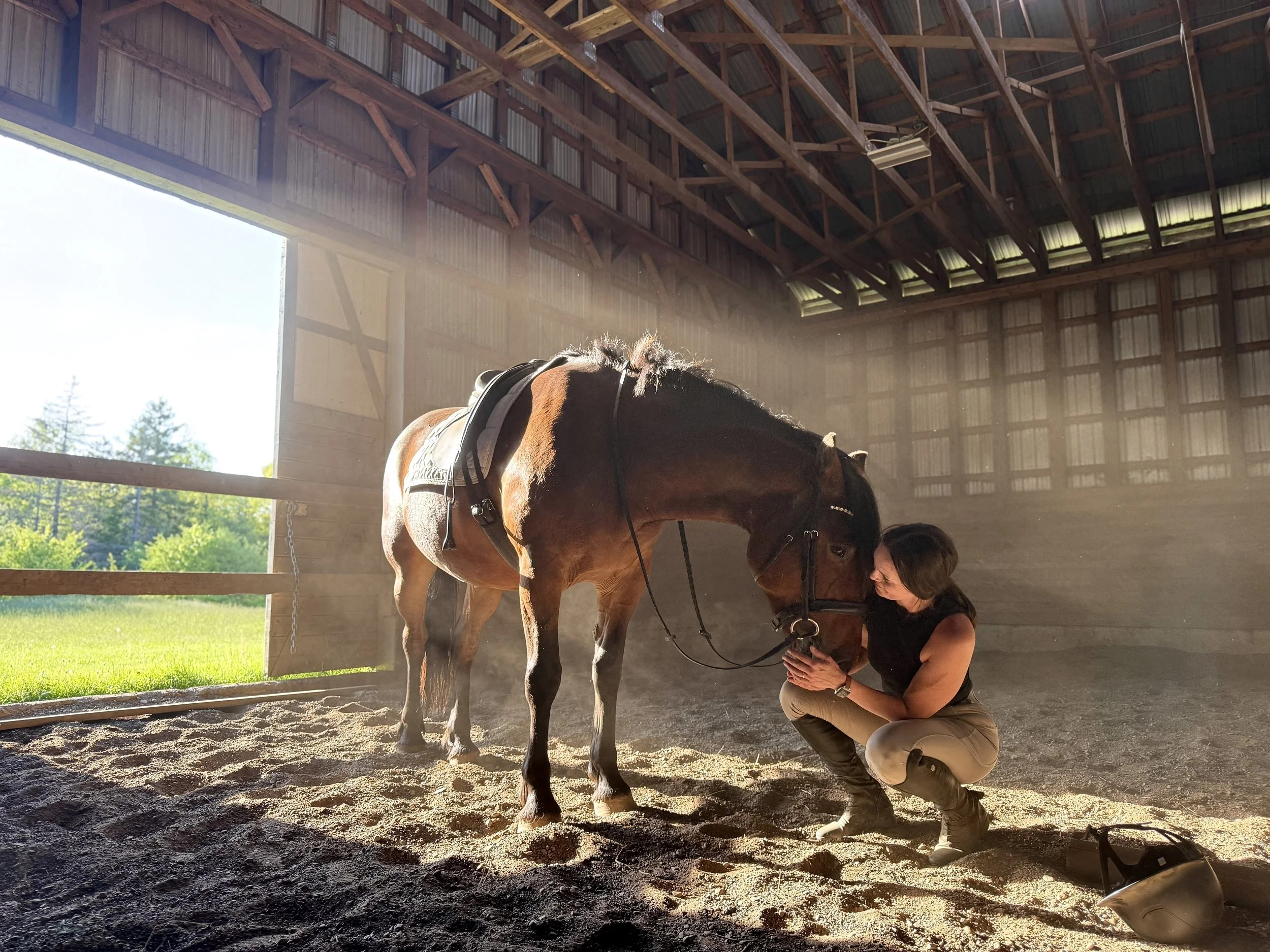 A woman crouching down and gently holding the head of a brown horse inside a barn with sunlight streaming in through the open door.