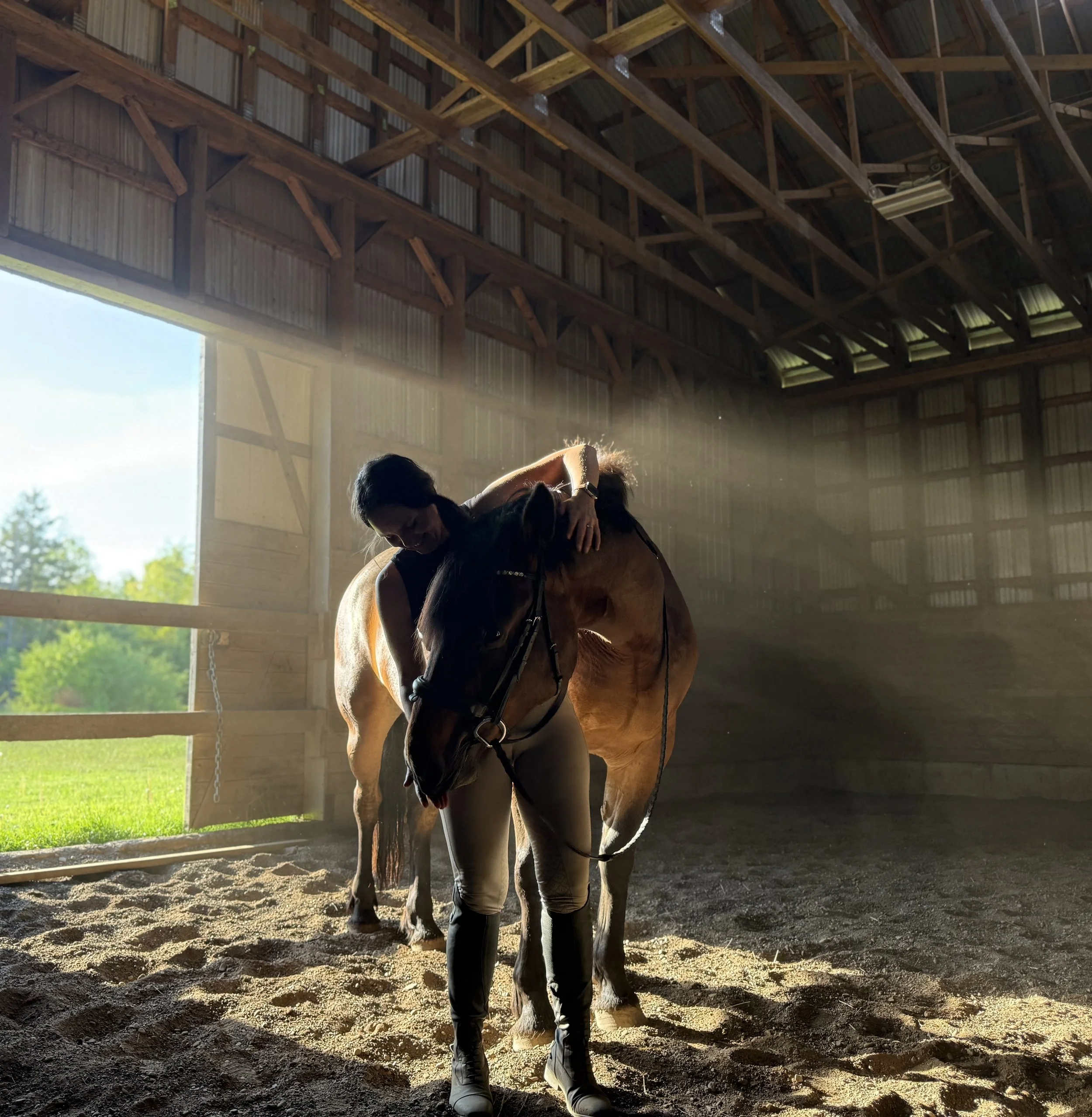 A person in western attire hugging a horse inside a barn with a high wooden ceiling and large open doors revealing green grass outside.