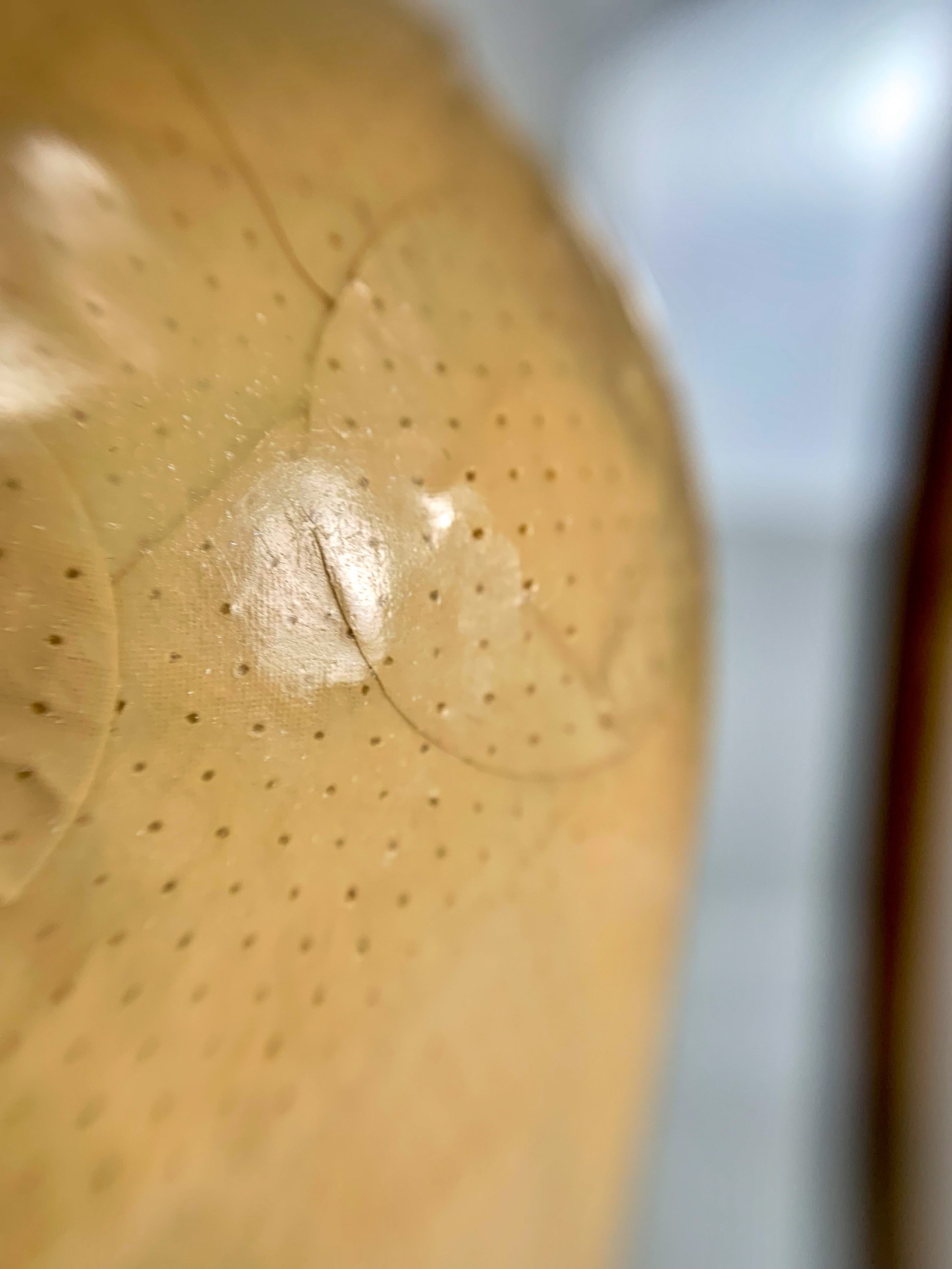 bandaid_ball_process8.jpg