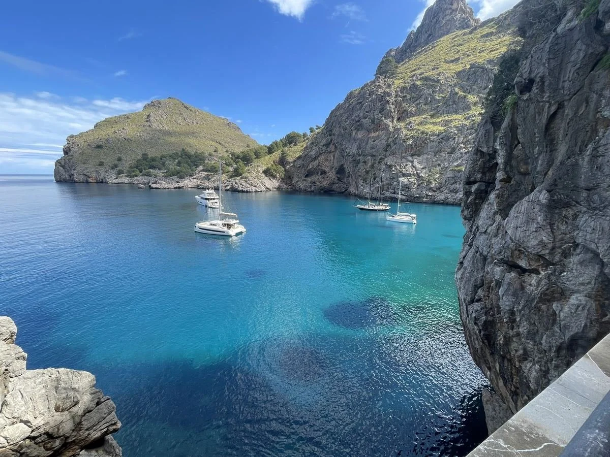 A scenic view of a rocky cove with clear blue water, surrounded by green hills and mountains, with several white sailboats anchored in the water.