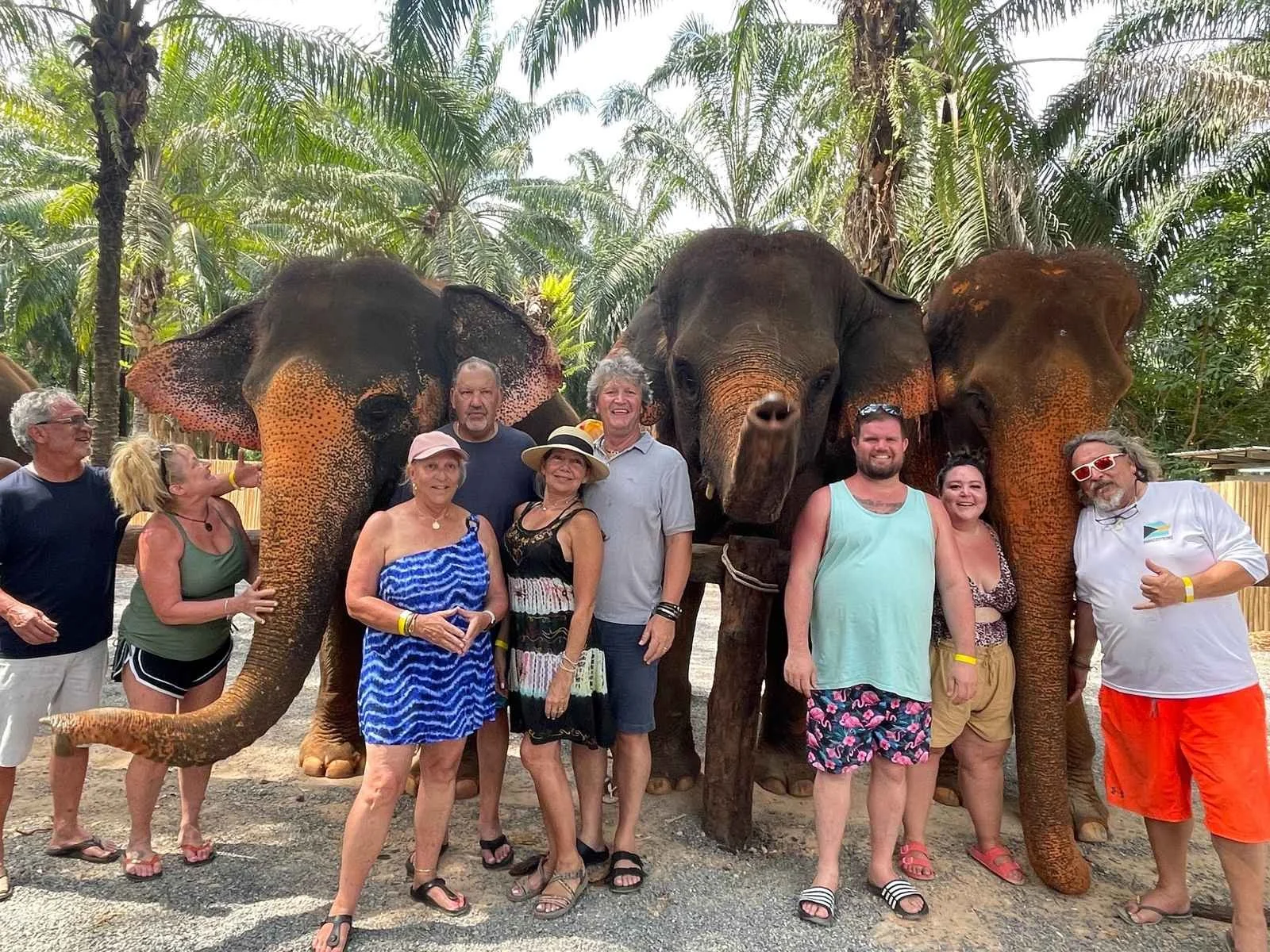 Group of people posing with elephants in a jungle setting.