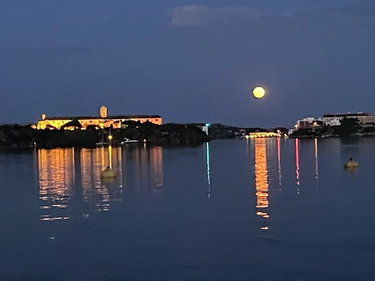 Nighttime view of a harbor with boats, reflections on calm water, illuminated buildings, a full moon in the sky, and a bridge in the distance.