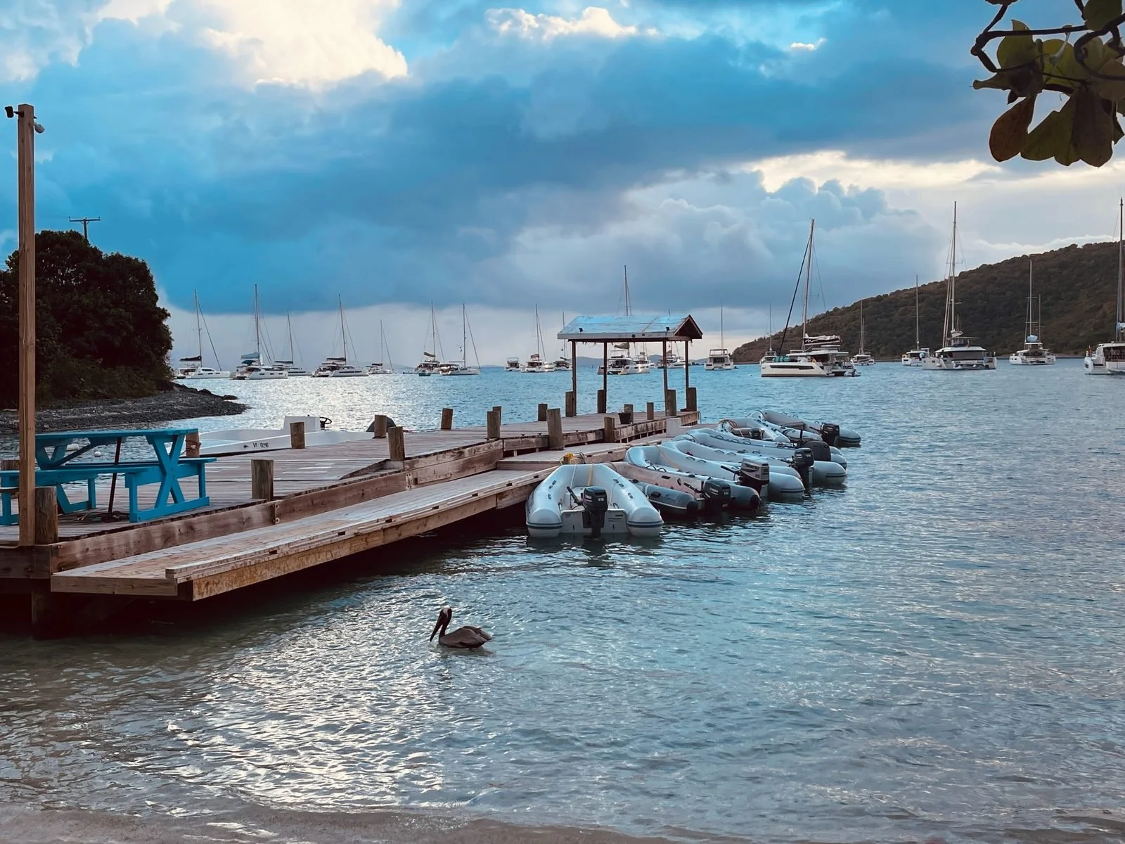 A peaceful marina with a wooden dock extending into calm water, where several small boats are tied. In the background, there are many sailboats anchored on the water under a cloudy sky. A swan is swimming near the dock, and lush green hills are visible in the distance.