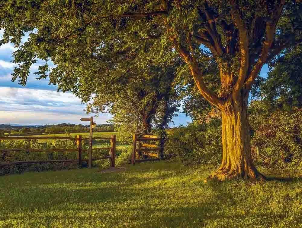 Across the fields - Fulking