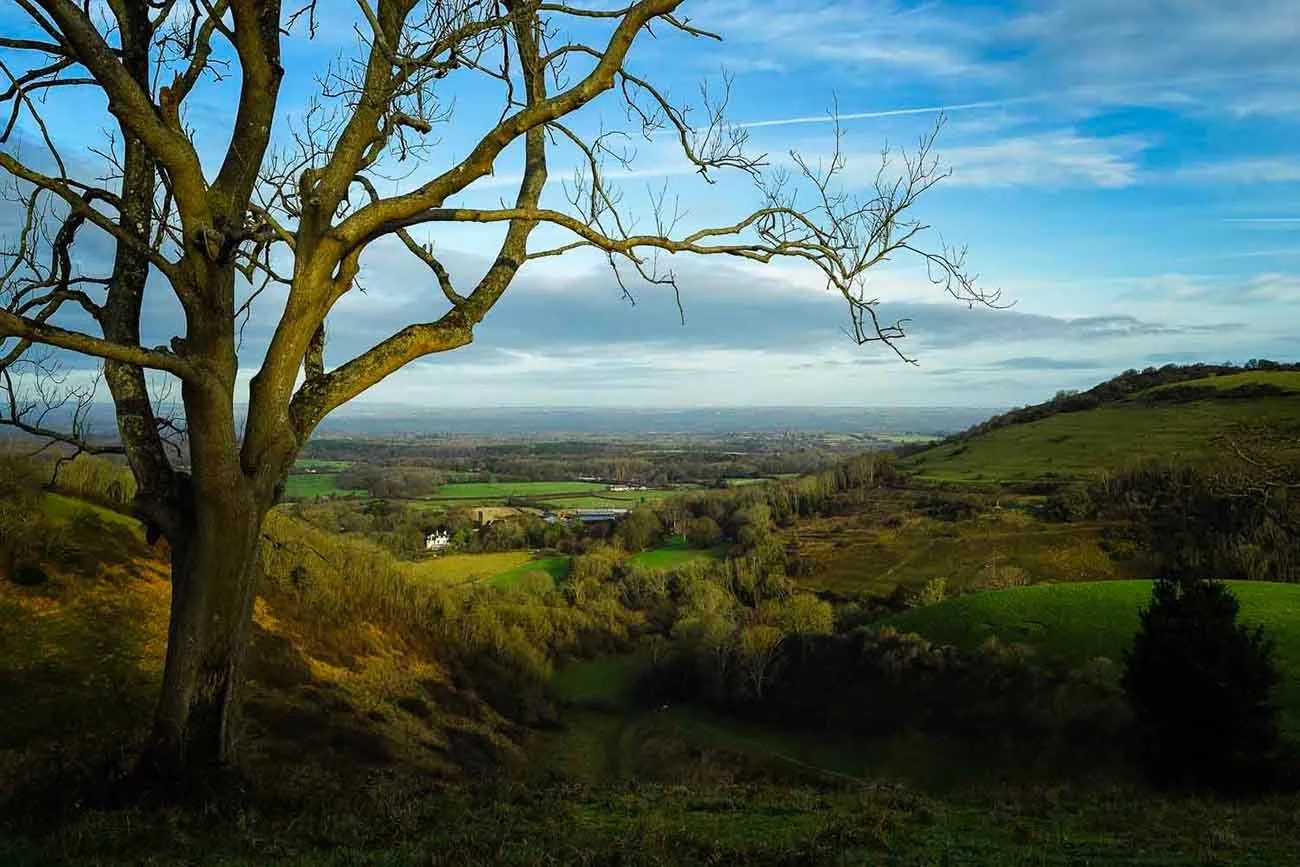 Improving Your Photography Skills 
