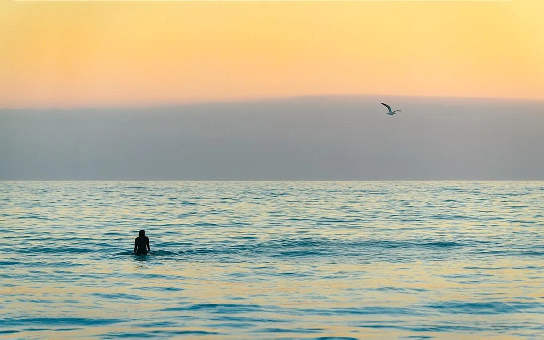 A person standing in the ocean water at sunset with a bird flying in the sky.