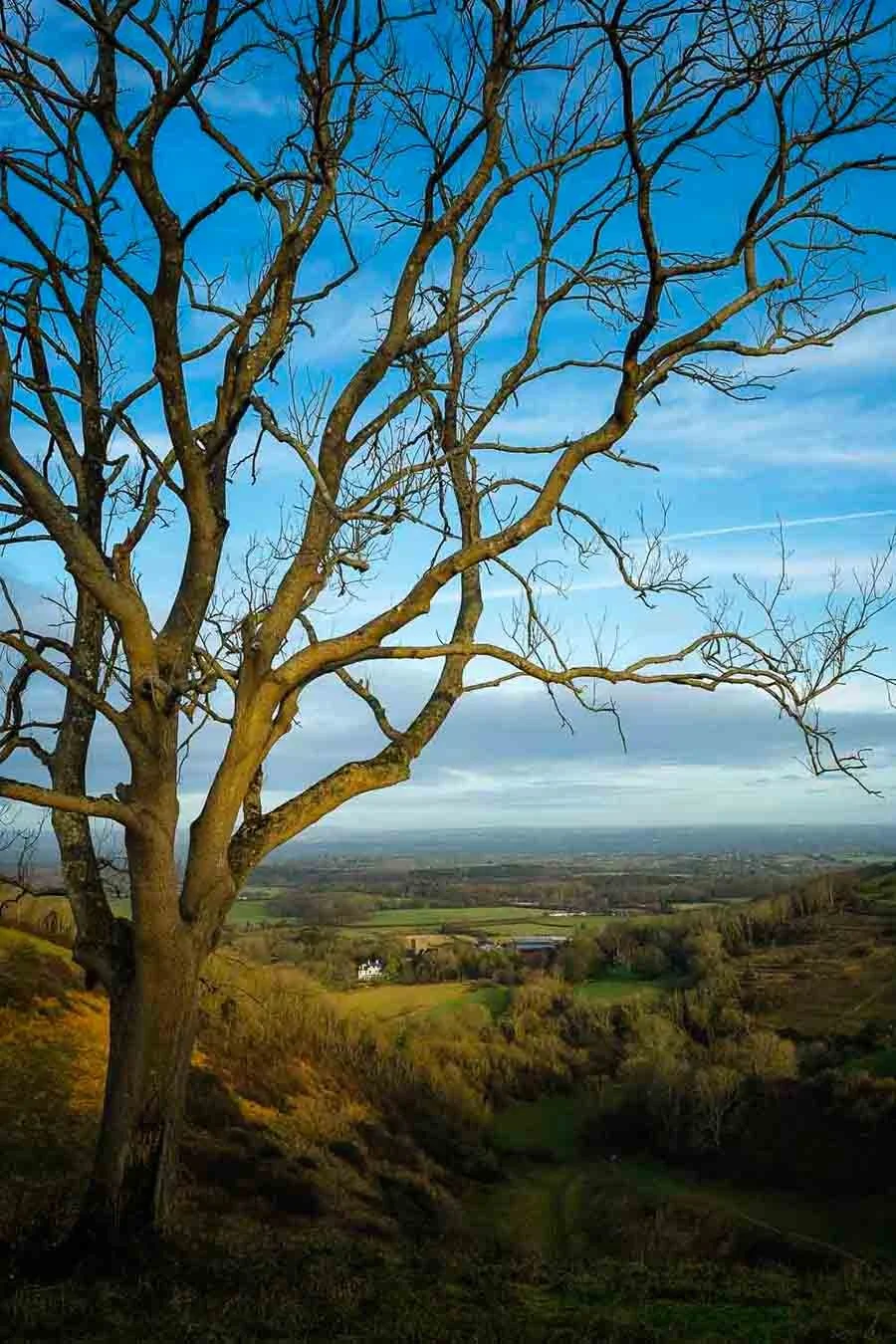 A view from the top of the South Downs National Park