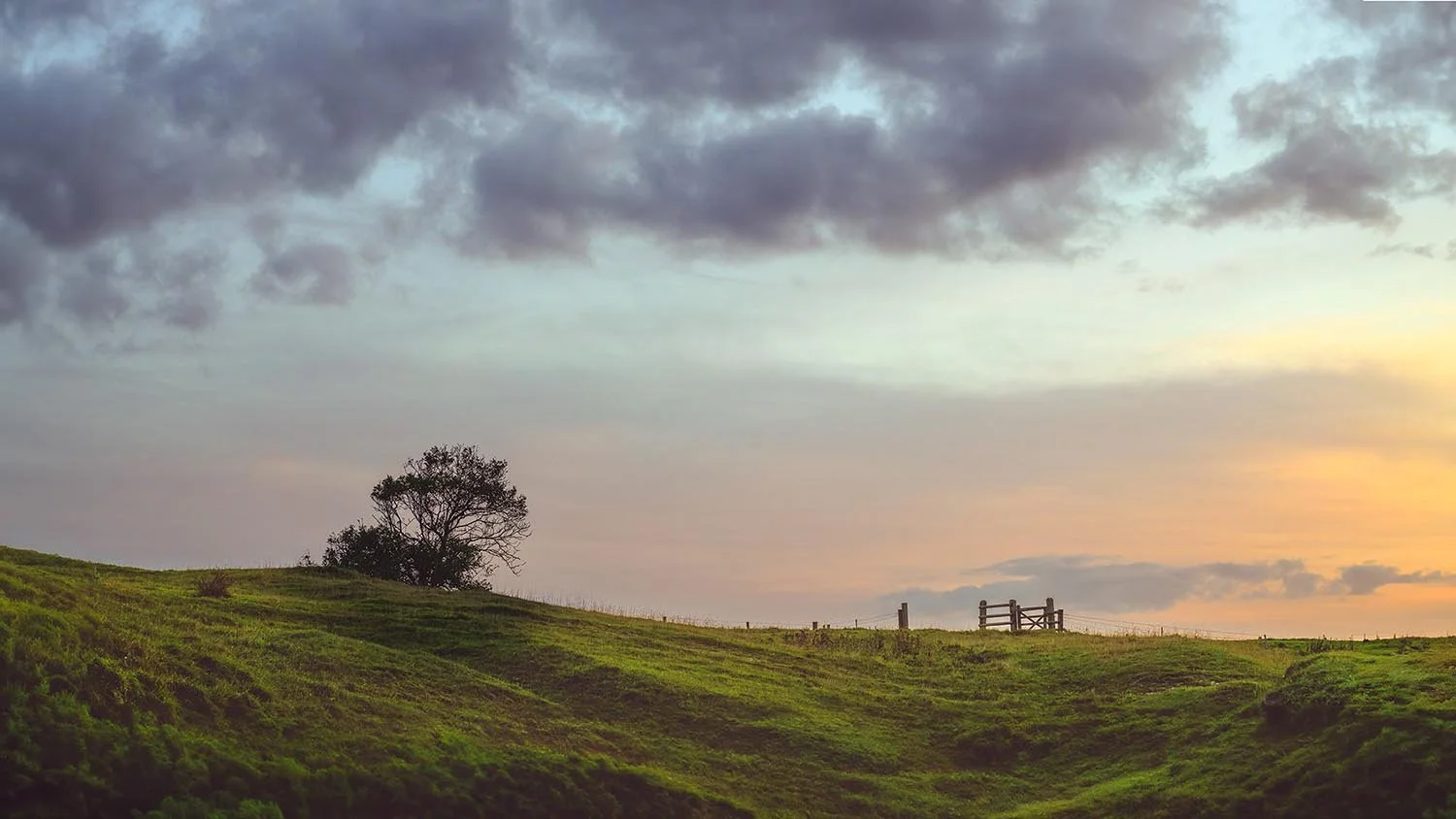 Atop of the Hill