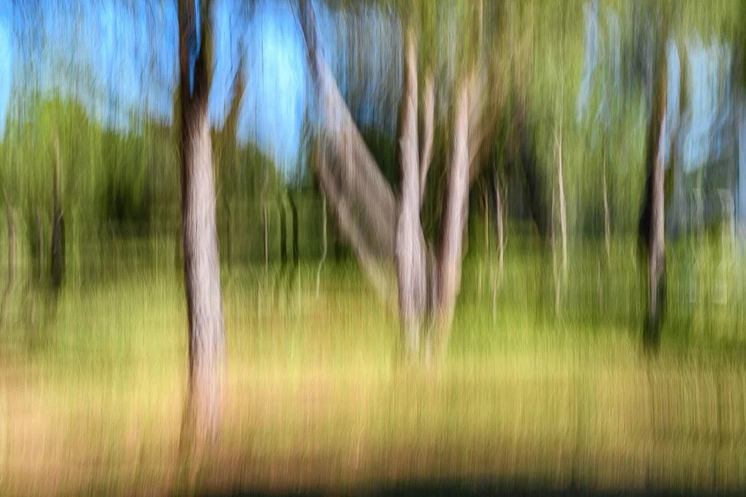 Intentional camera movement woodland photograph demonstrating a creative photography technique