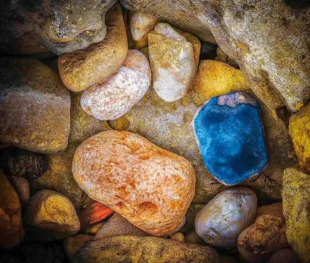 Beach Treasures