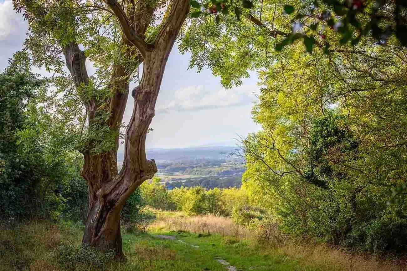 Country Side Beauty