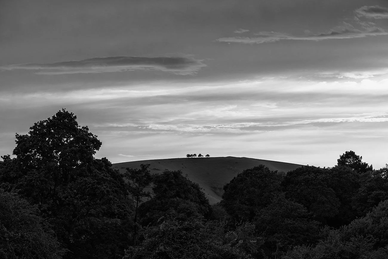 Silhouettes on the Downs