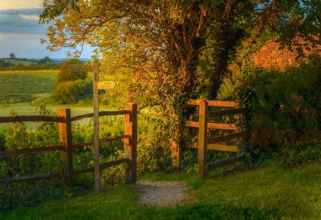 A sunset scene in a little field in Fulking West Sussex
