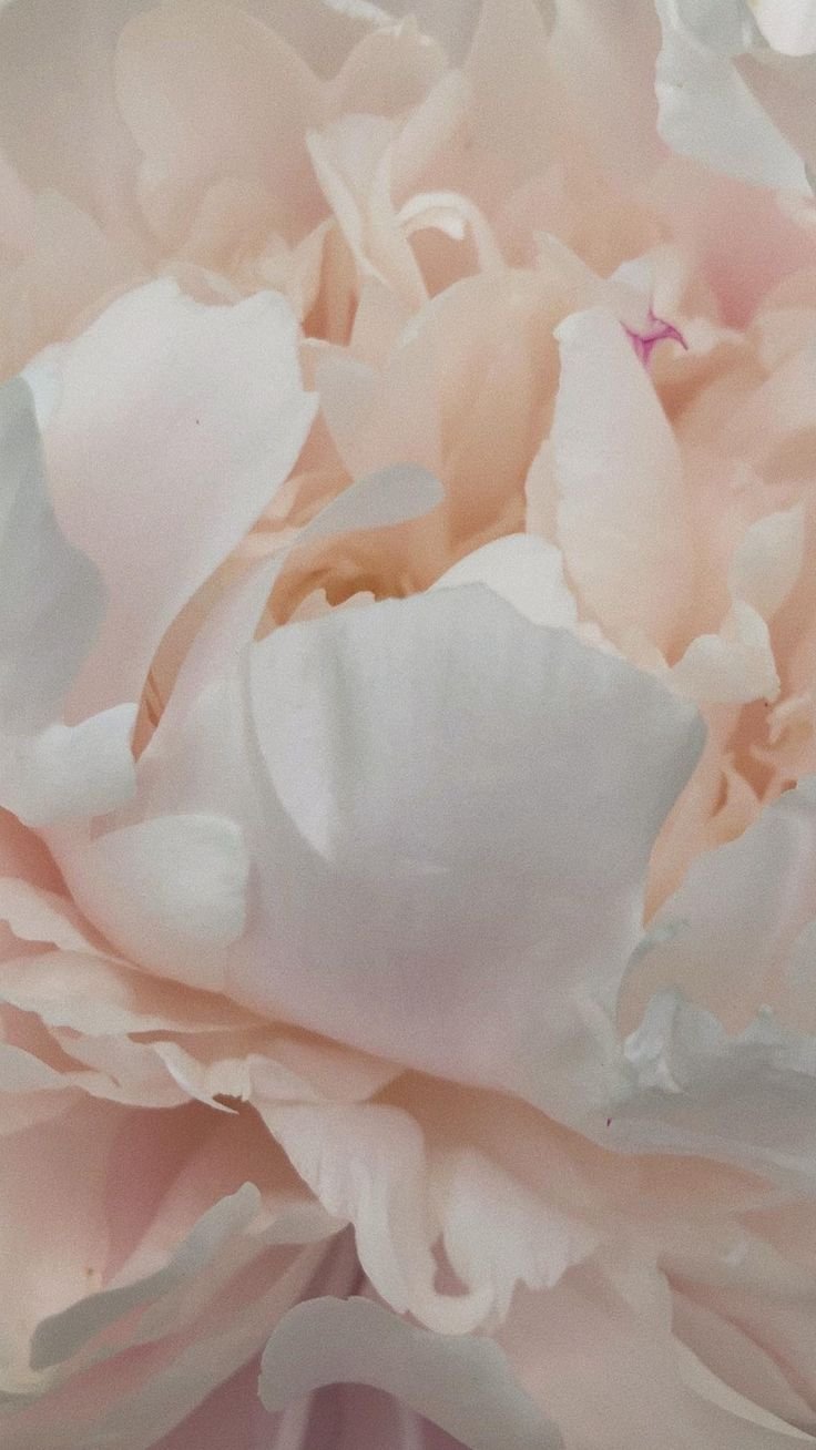 SPRING 50 HR YIN YOGA TEACHER TRAINING