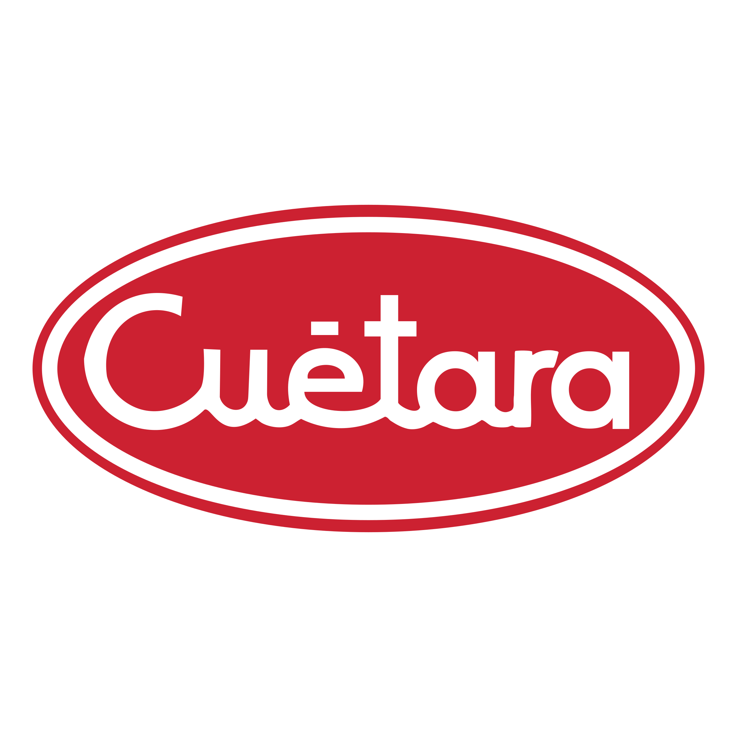 cuetara-logo-png-transparent.png