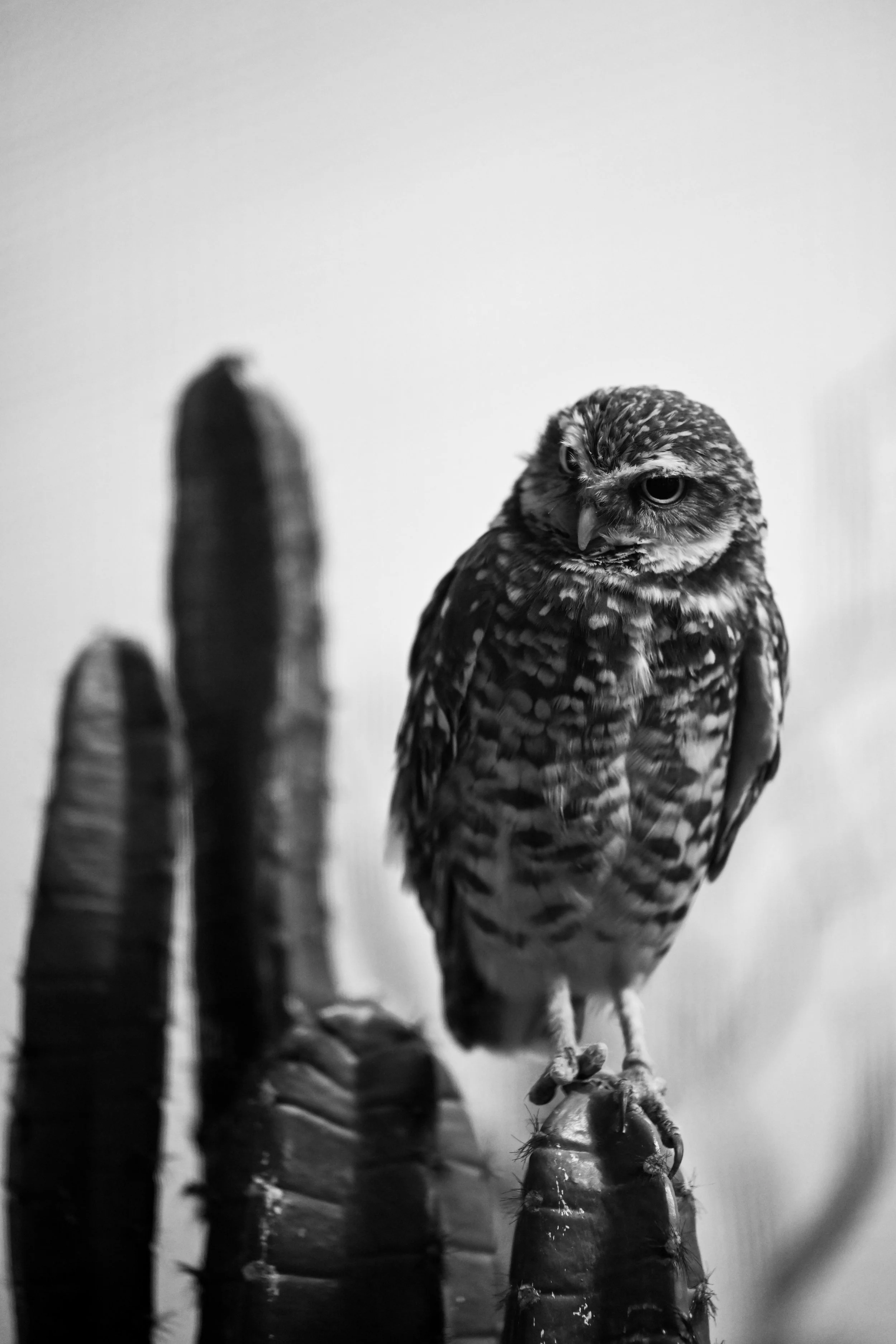 20240613-hd-christtempleSBIJNDwilqeurgheo