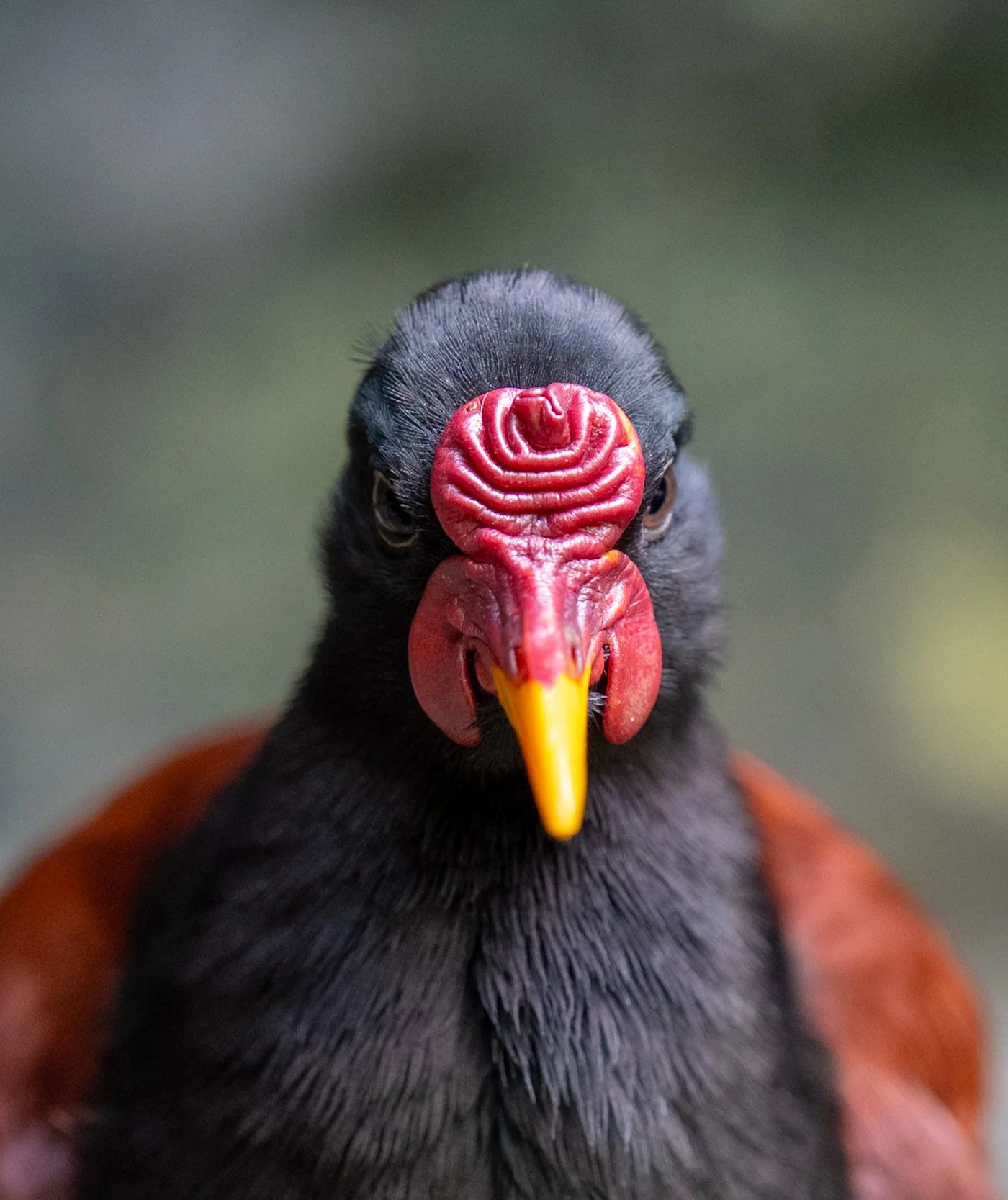 AndersonxAluise-0523-2525SBIJNDwilqeurgheo