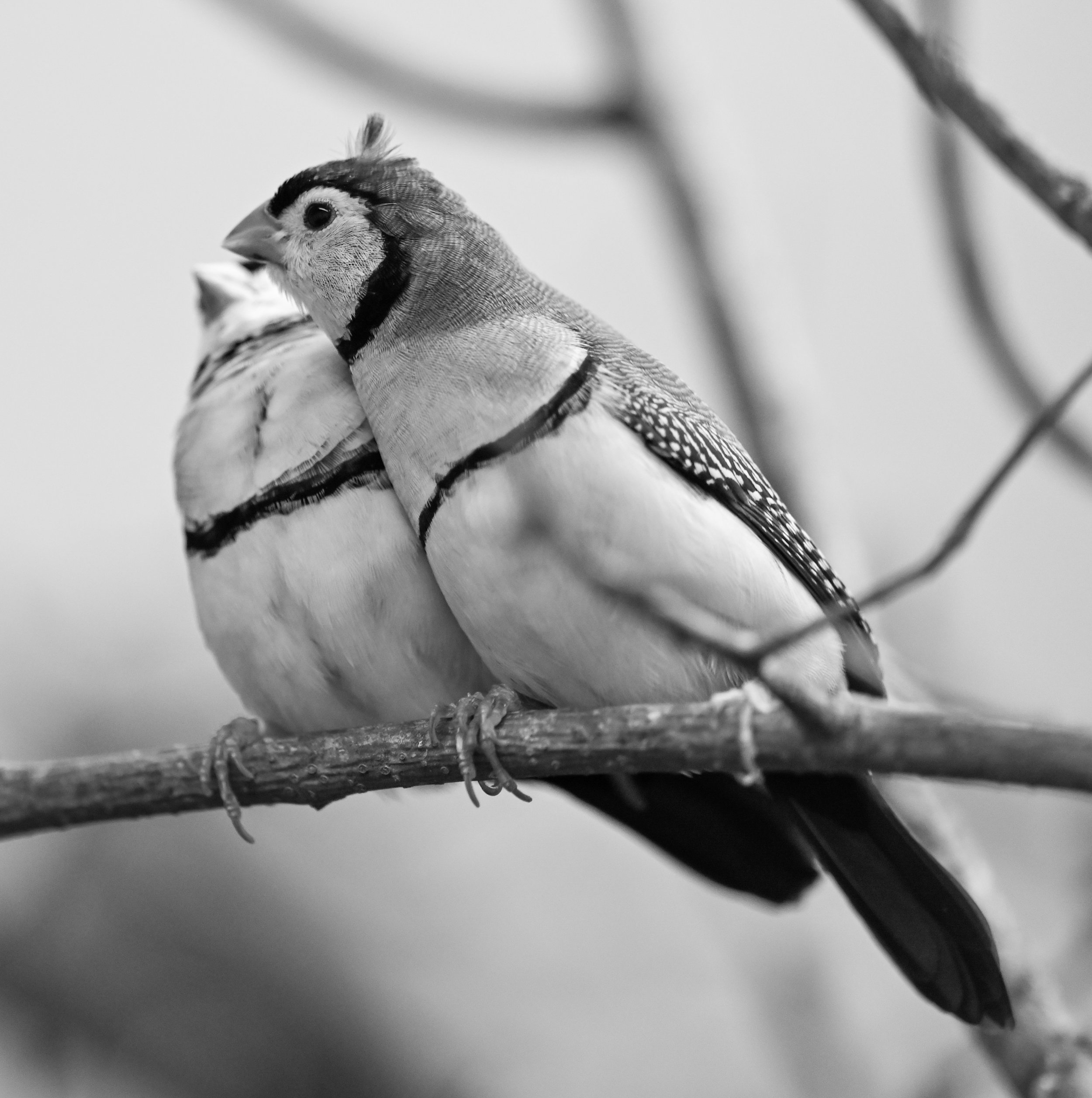 20240613-hd-christtempleSBIJNDwilqeurgheo