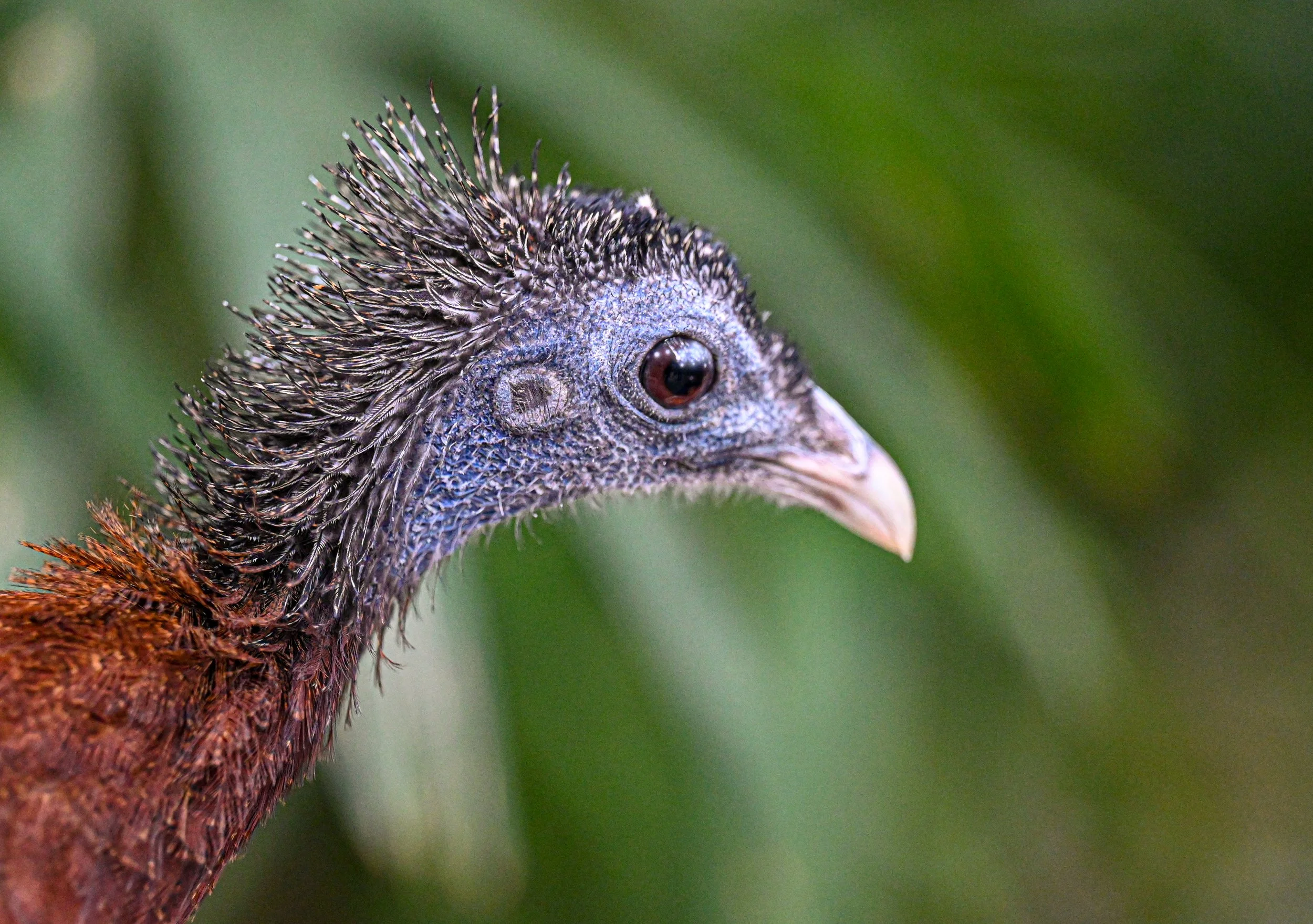 20240613-hd-christtempleSBIJNDwilqeurgheo