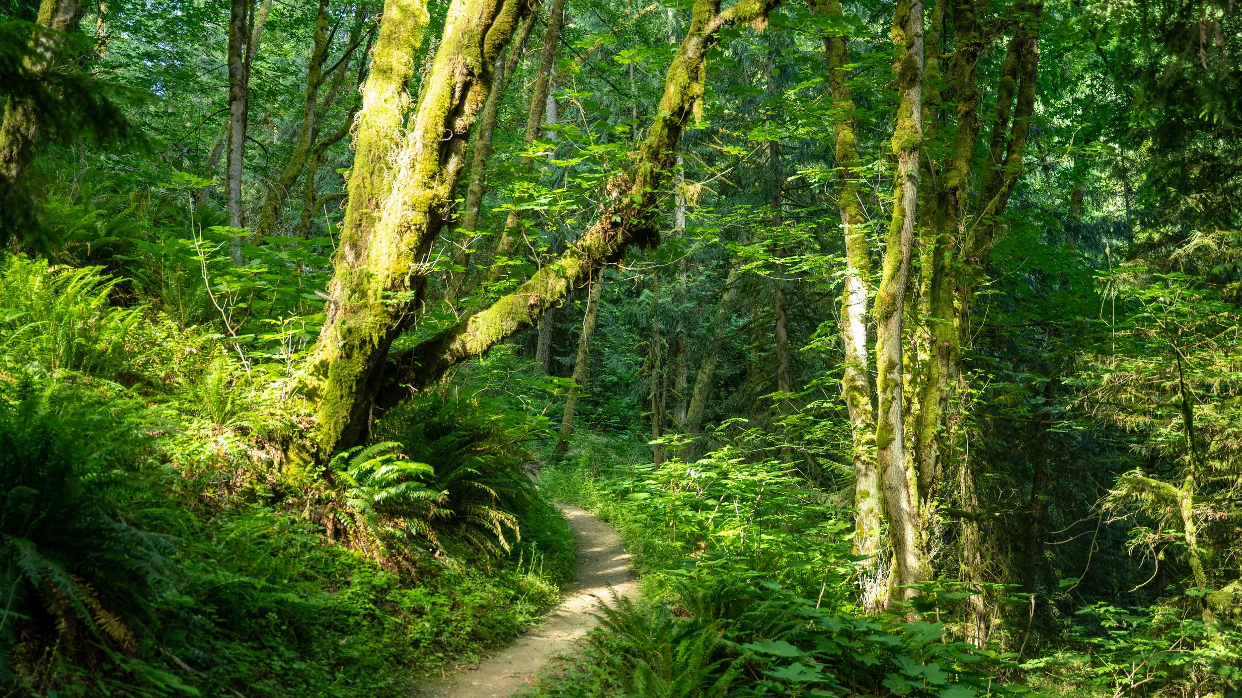 AndersonxAluise-0523-2525SBIJNDwilqeurgheo