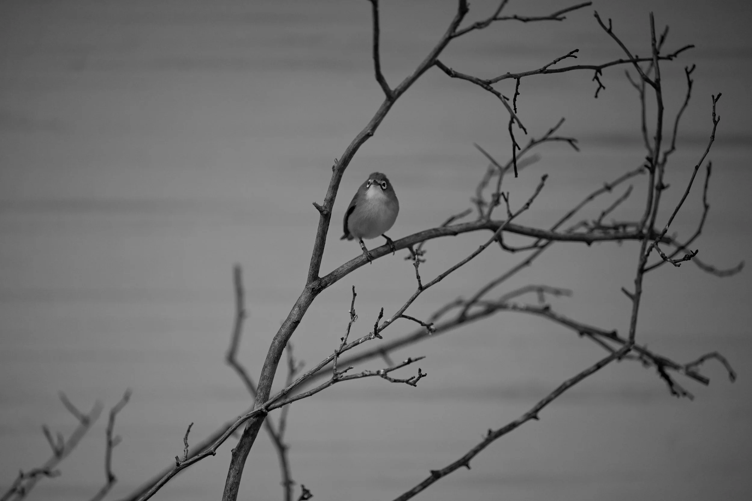 20240613-hd-christtempleSBIJNDwilqeurgheo