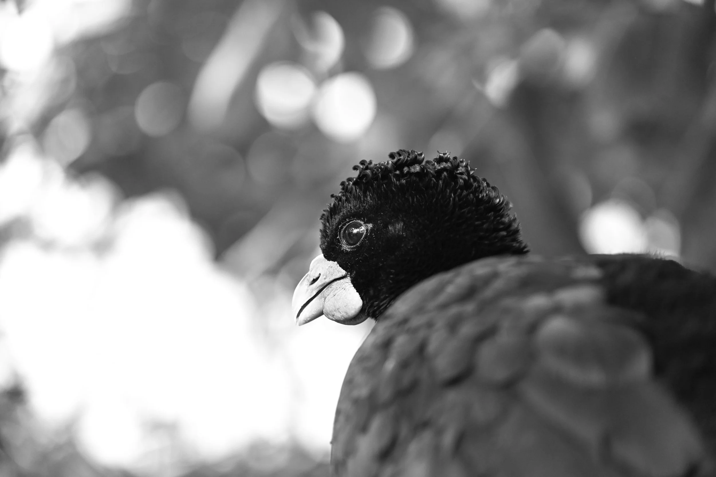 20240613-hd-christtempleSBIJNDwilqeurgheo